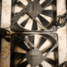 Assortment of Fans! 9 total