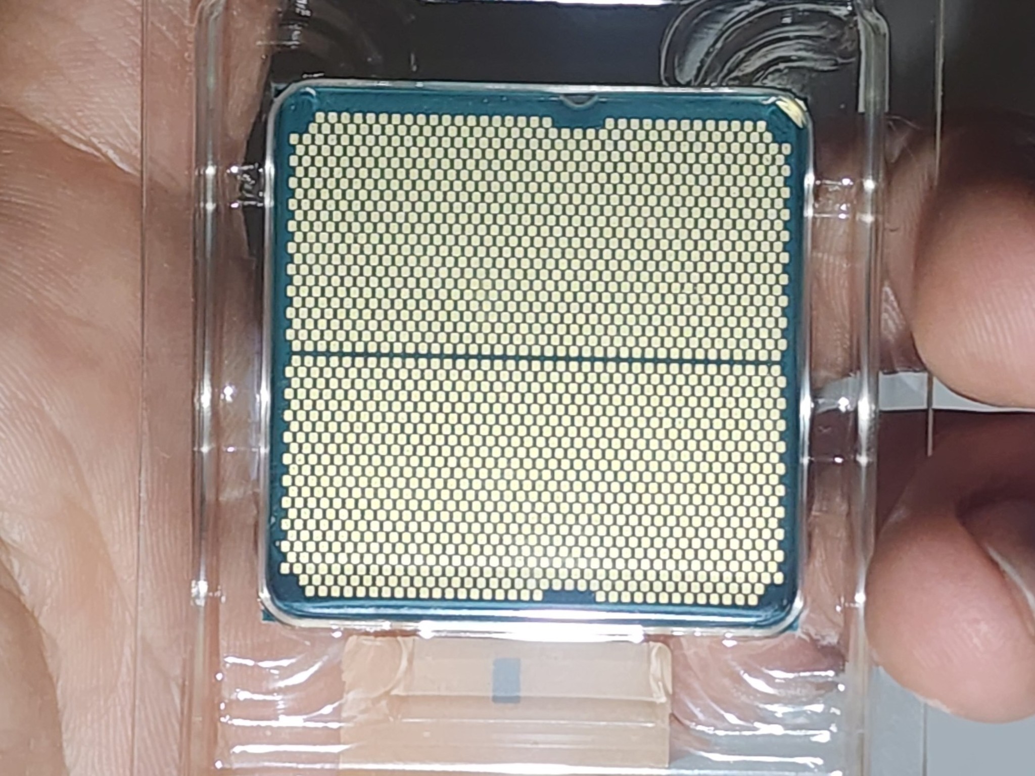 Ryzen 5 7500F  **Sealed in clamshell**