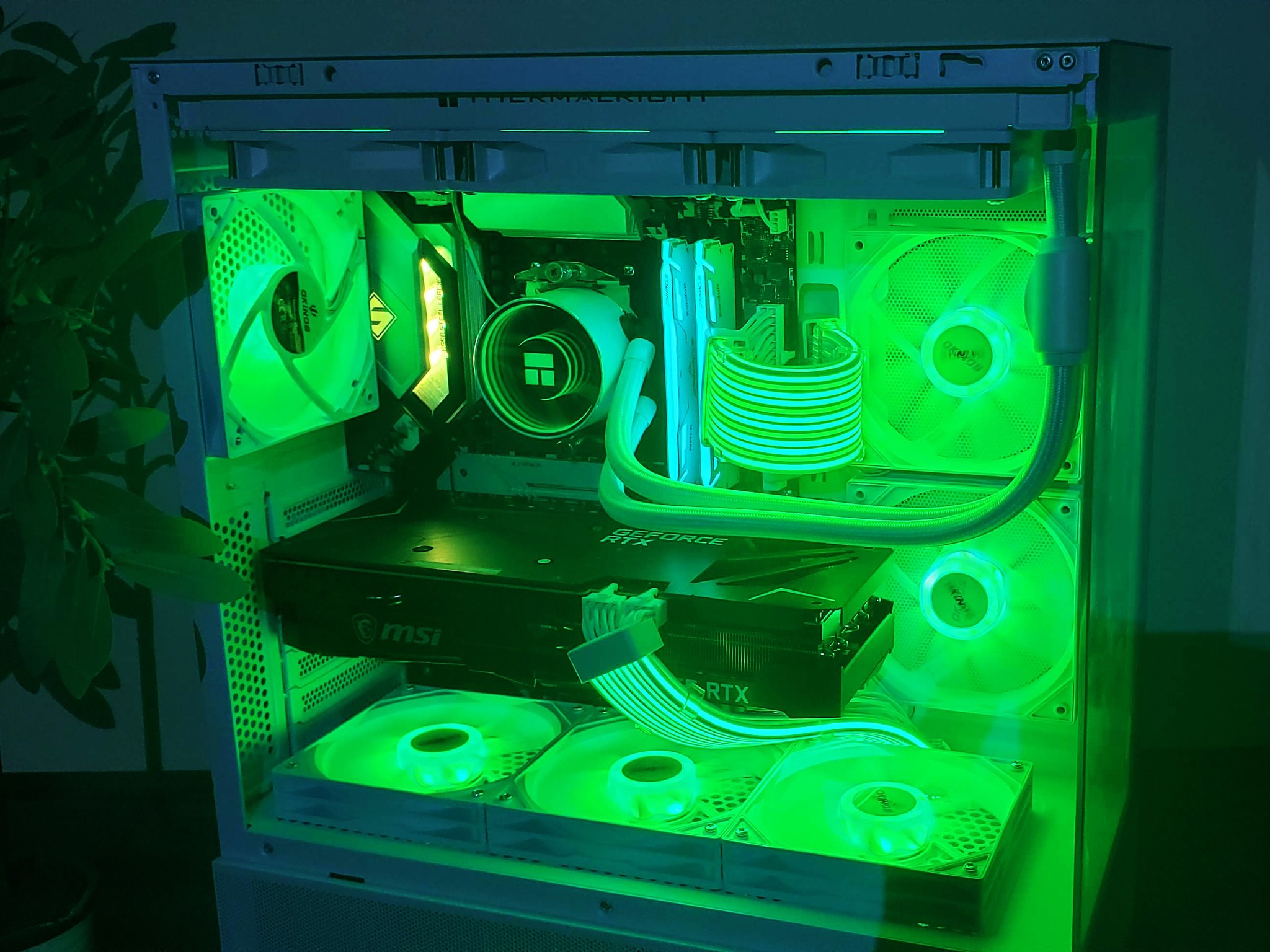 "The Chill" 1440P Beast