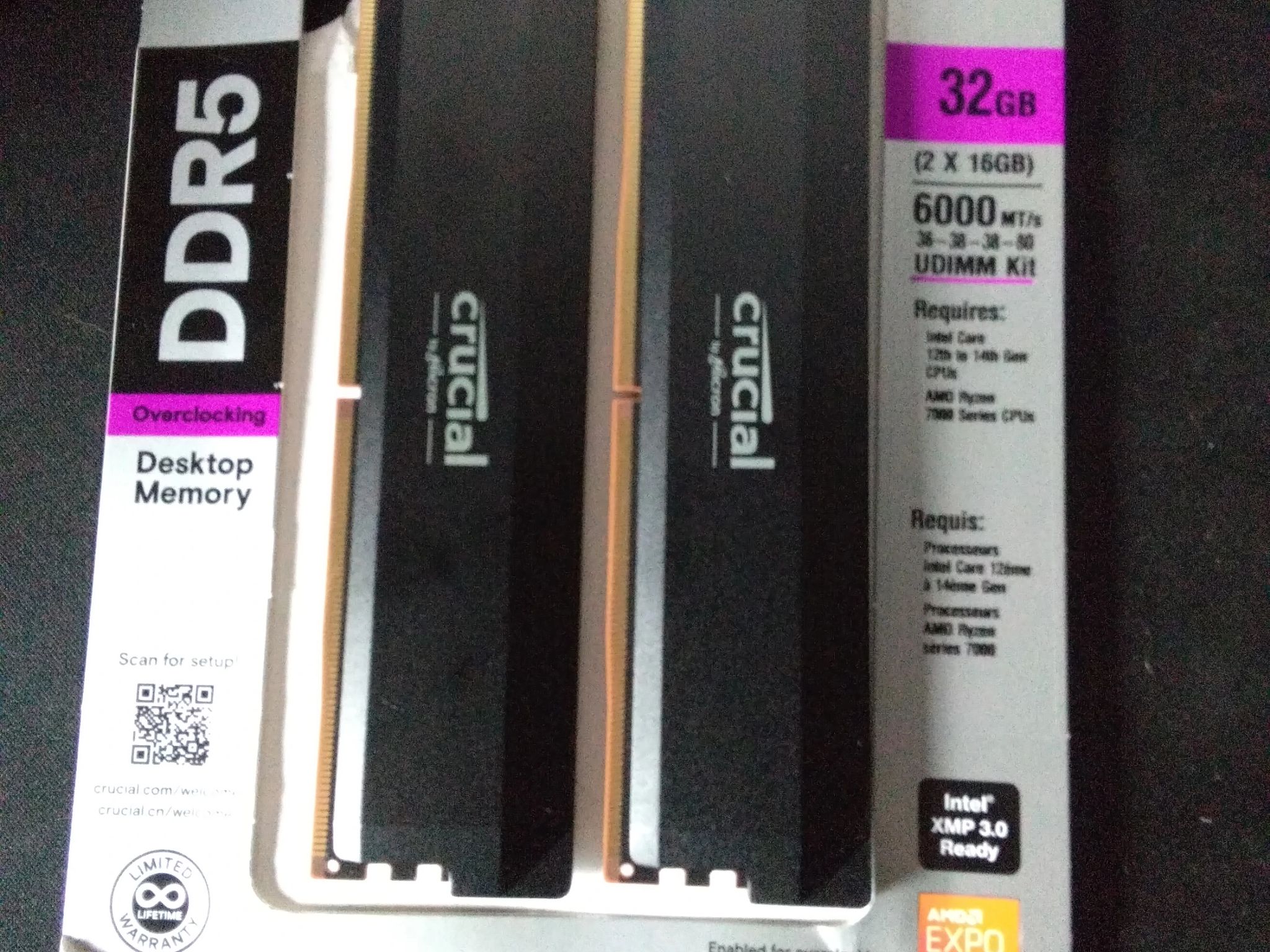 Crucial Pro Overclocking 32GB (2 x 16GB) DDR5 6000 (PC5 48000) Desktop Memory Model CP2K16G60C36U5B