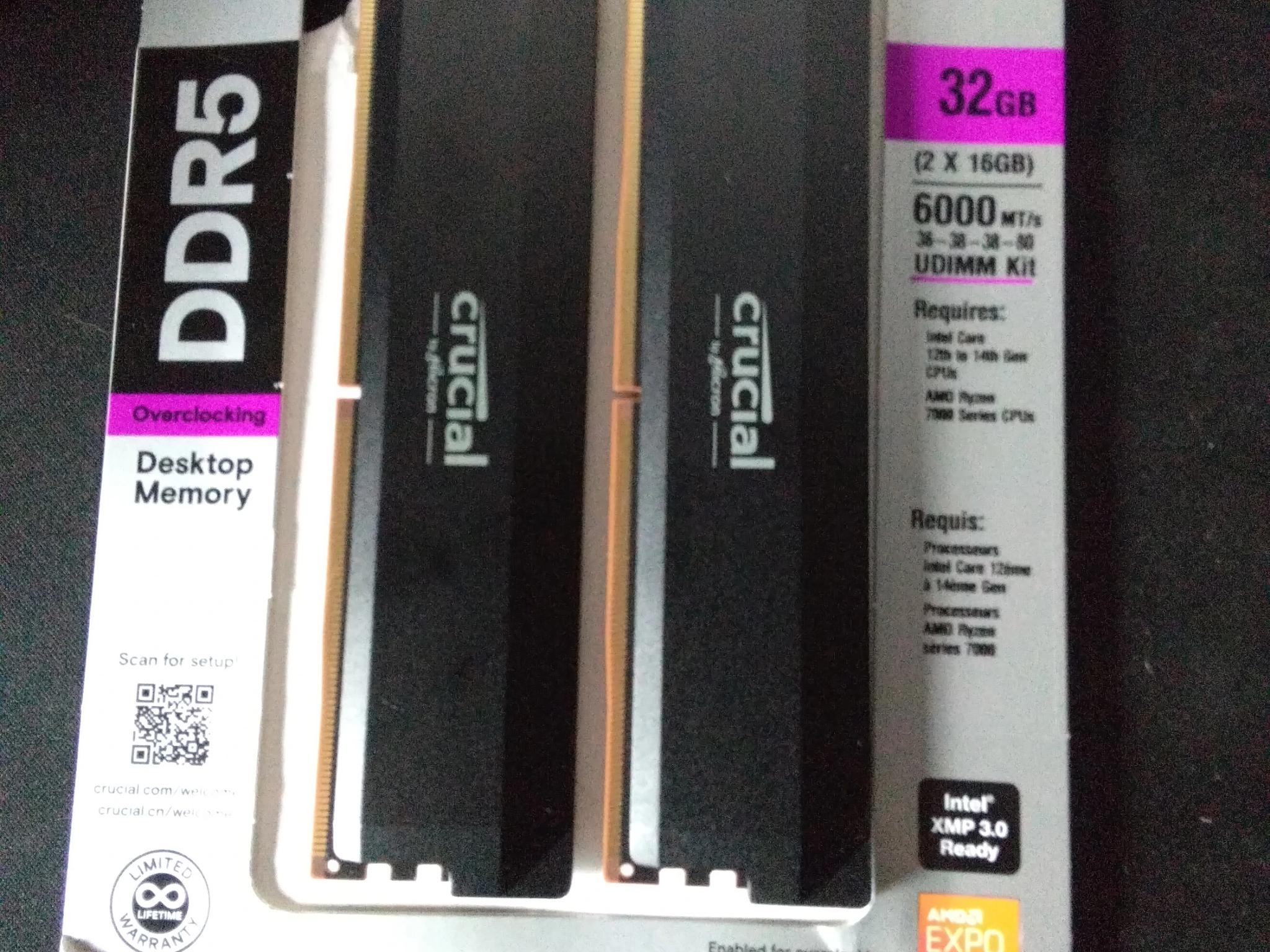 Crucial Pro Overclocking 32GB (2 x 16GB) DDR5 6000 (PC5 48000) Desktop Memory Model CP2K16G60C36U5B