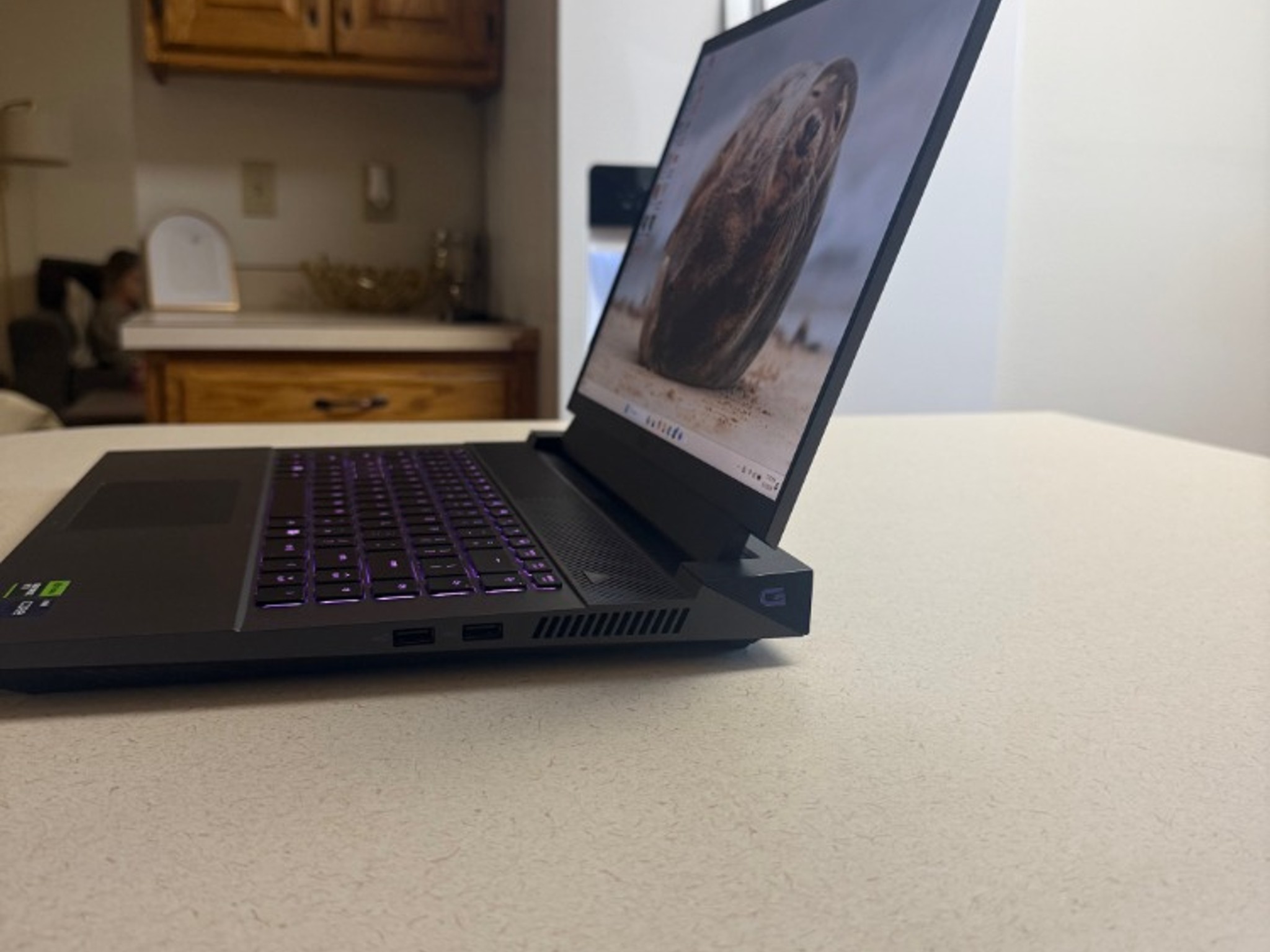 Dell G16 7630 Gaming Laptop - i9-13900HX - RTX 4060 - 32GB DDR5 - 1TB SSD