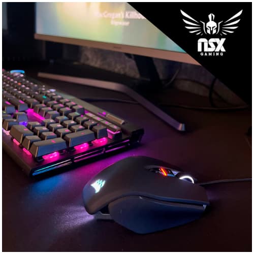 NSX Gaming