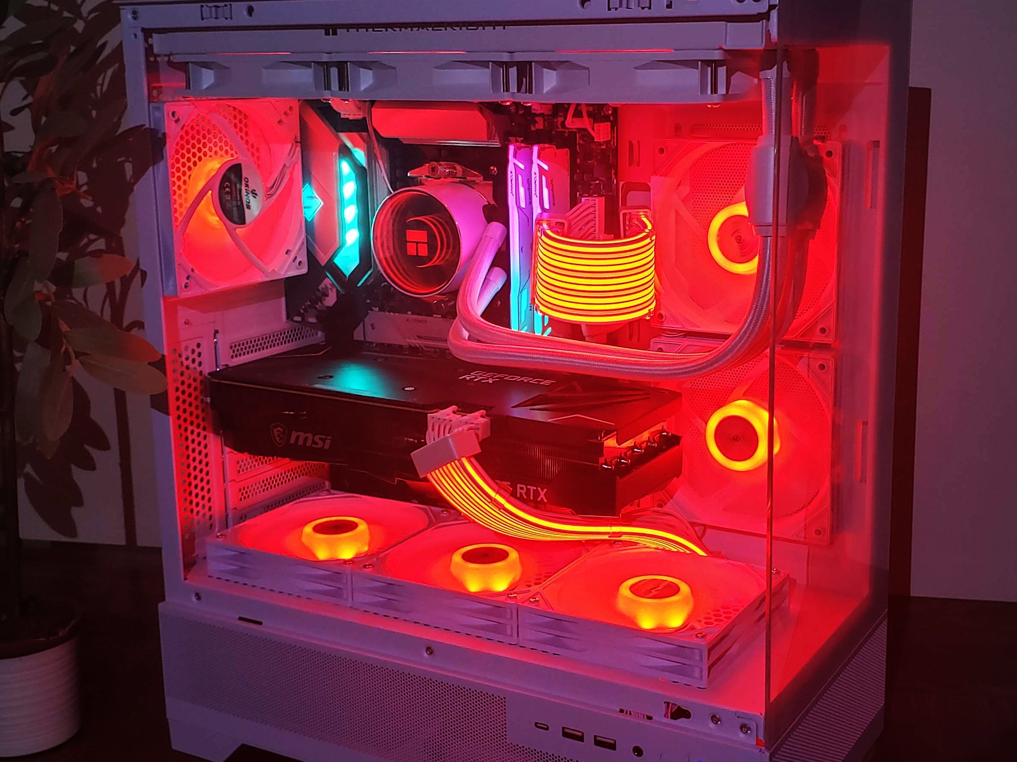 "The Chill" 1440P Beast