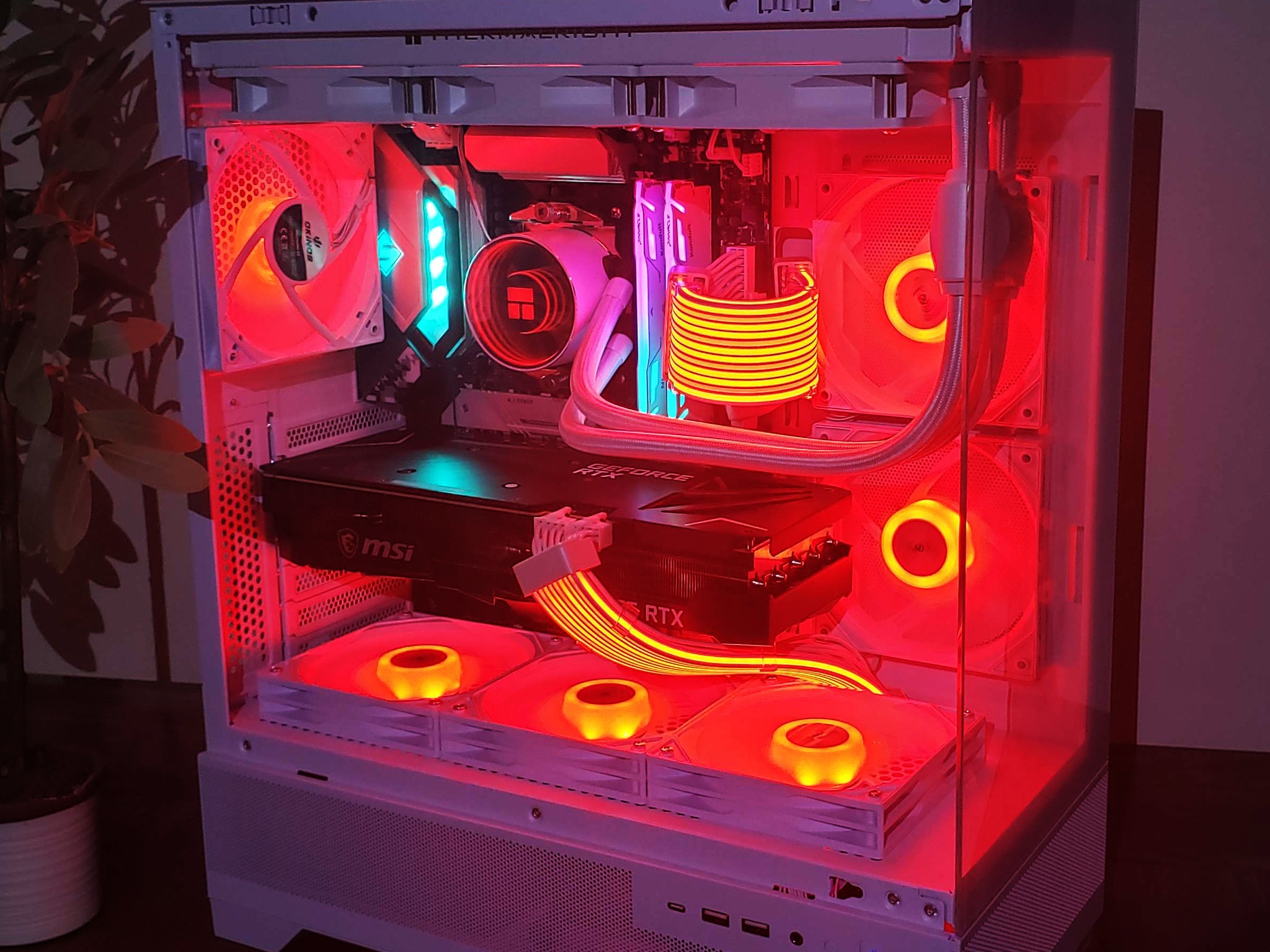 "The Chill" 1440P Beast