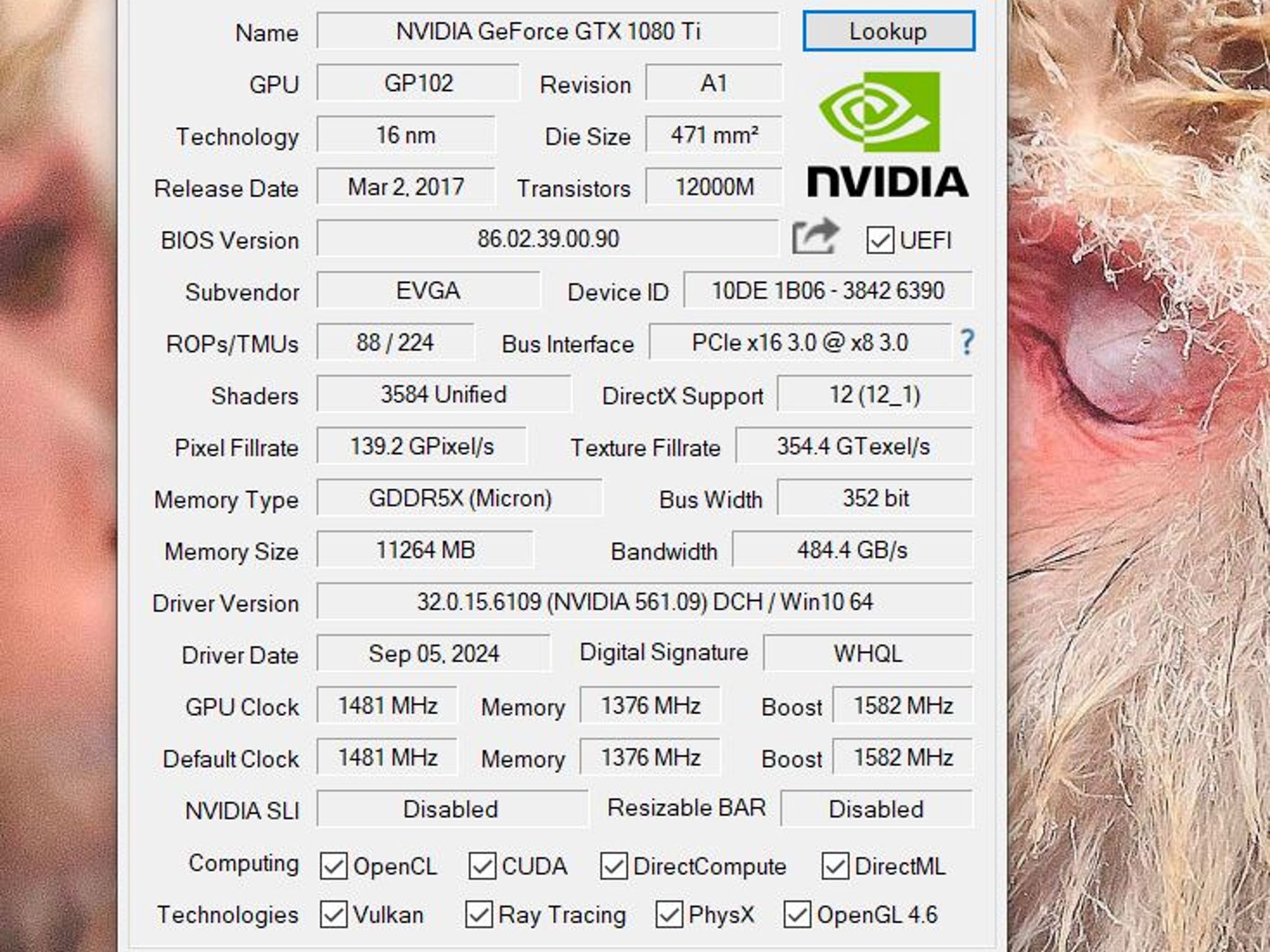 NVIDIA GeForce GTX 1080 TI (11GB GDDR5X) Graphics Card - Used (900-1G611-0050-000) EK Waterblock