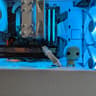 🐢🧊Squirtle🧊🐢-Gaming PC-AMD RX 6600 8GB-AMD Ryzen 5 5600G-16GB DDR4 -500GB NVME