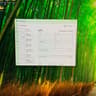 ASUS Dual 7800 XT