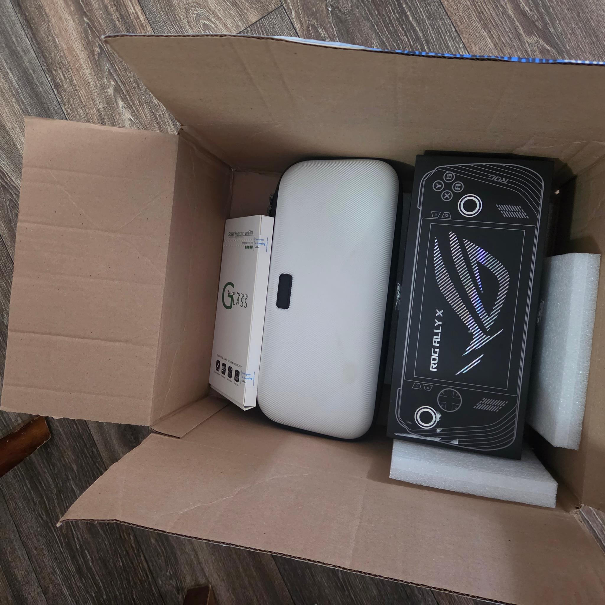 Asus Rog Ally X