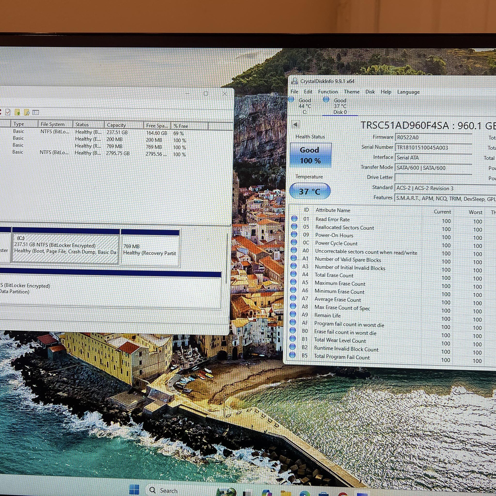 960GB TriCor 2.5" SATA SSD 100% Health