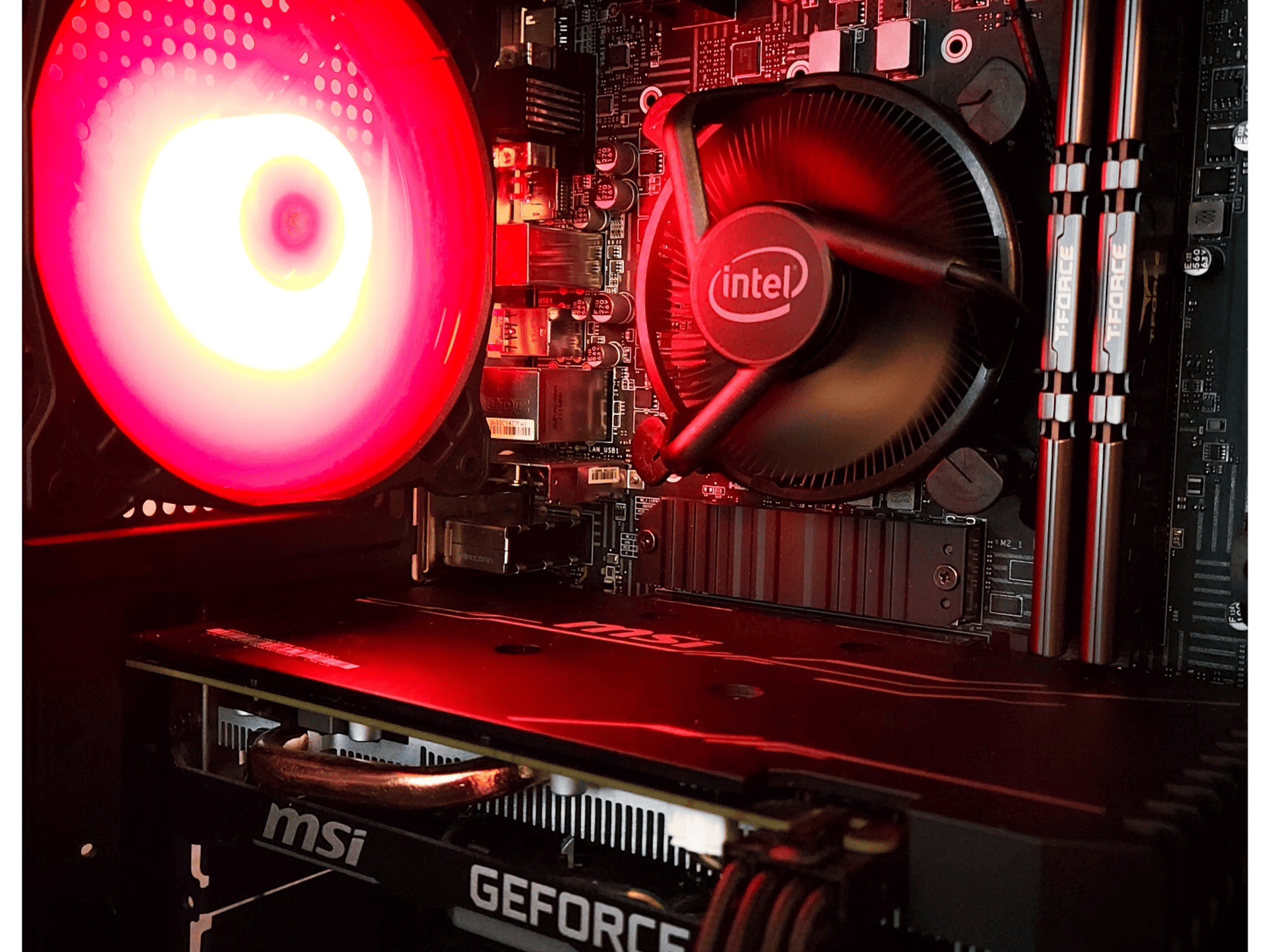 Core i3 10th Gen CPU | GTX 1660 Super | Gaming PC