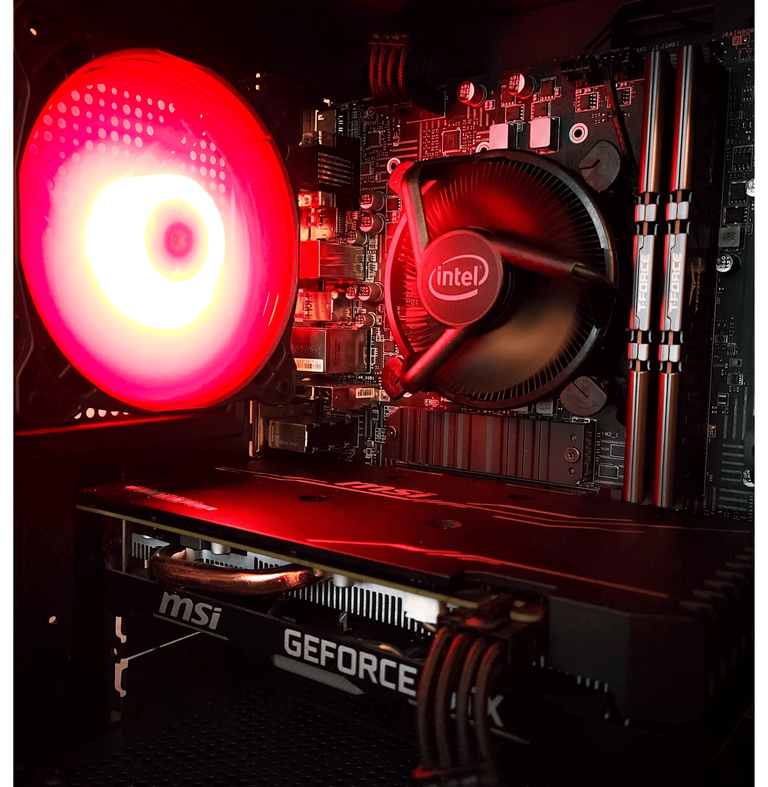 Core i3 10th Gen CPU | GTX 1660 Super | Gaming PC
