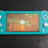 Modded Switch Lite with 256GB SD Card and Picofly