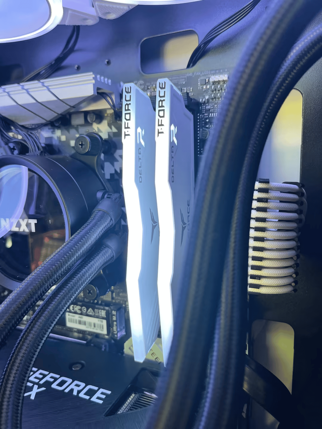 Custom Gaming PC (RTX 3060 Ti / Ryzen 5 3600 / 16gb RAM)