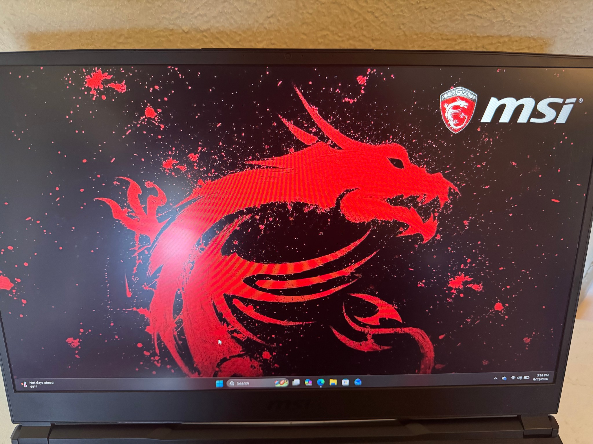 MSI GE75 Raider 10SF 17" Gaming Laptop