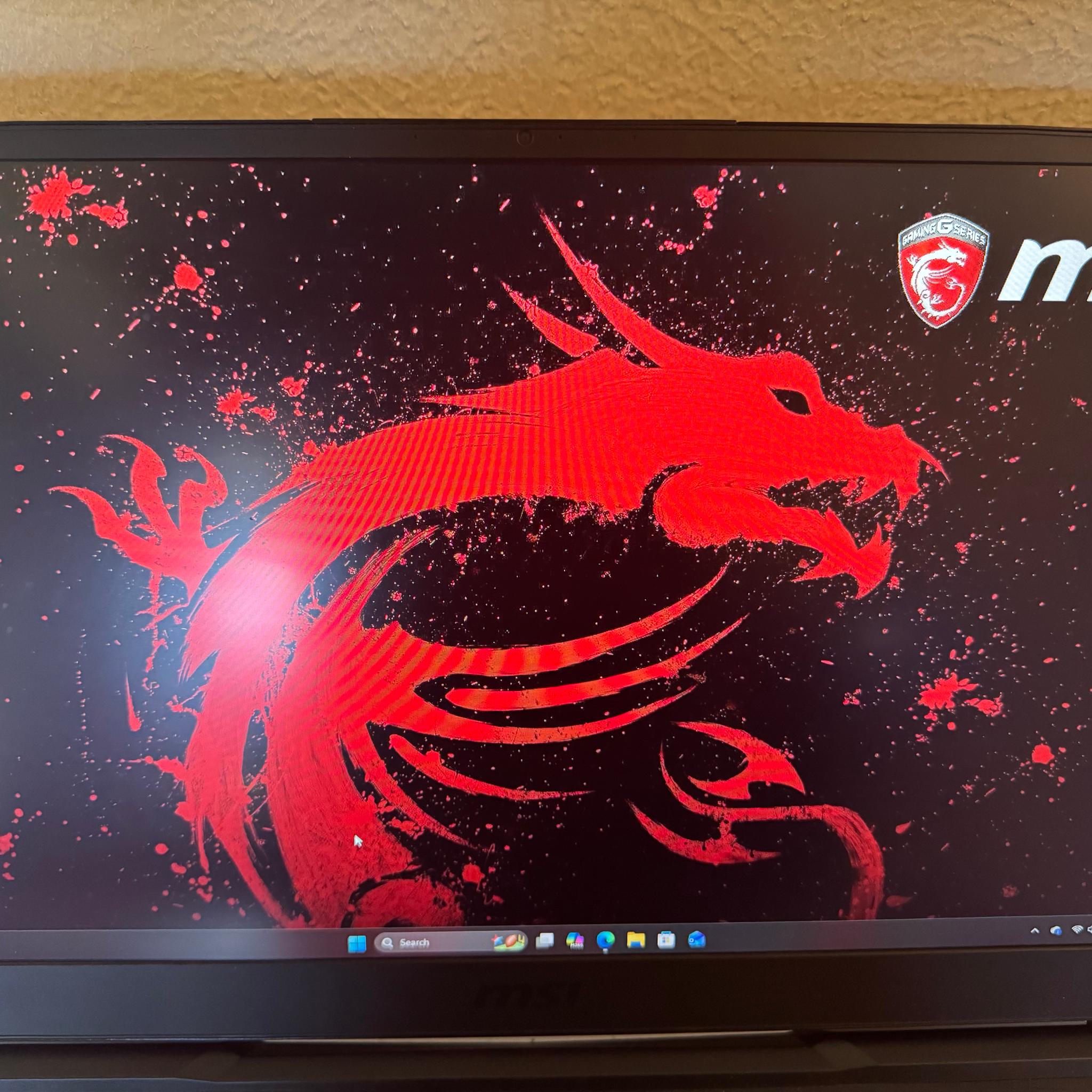 MSI GE75 Raider 10SF 17" Gaming Laptop