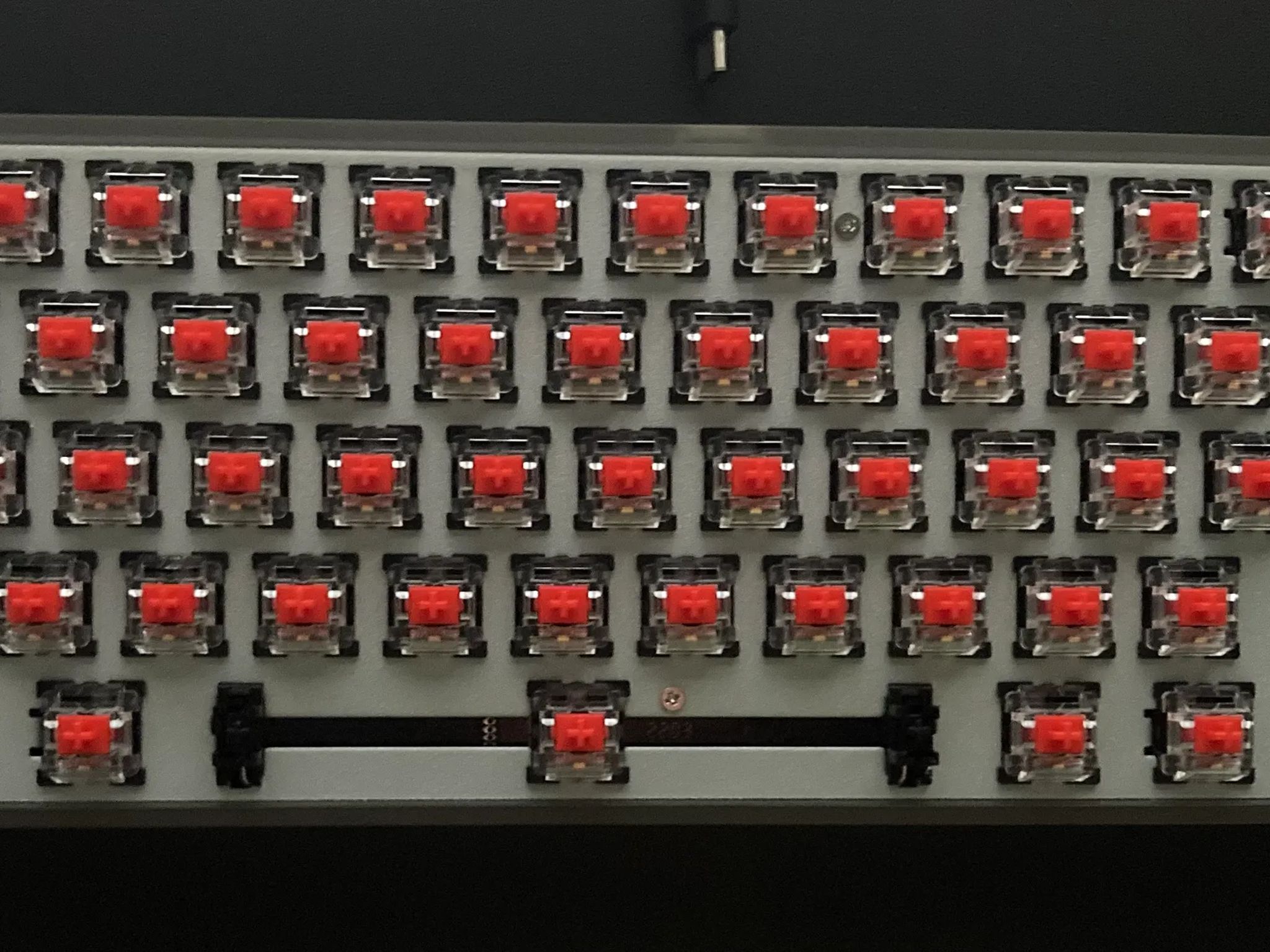 (PUDDING KEYCAPS) Gs61 Mechanical Keyboard (Transparent Bottom)