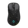 Eluktronics Covert Varmint Wireless Mouse