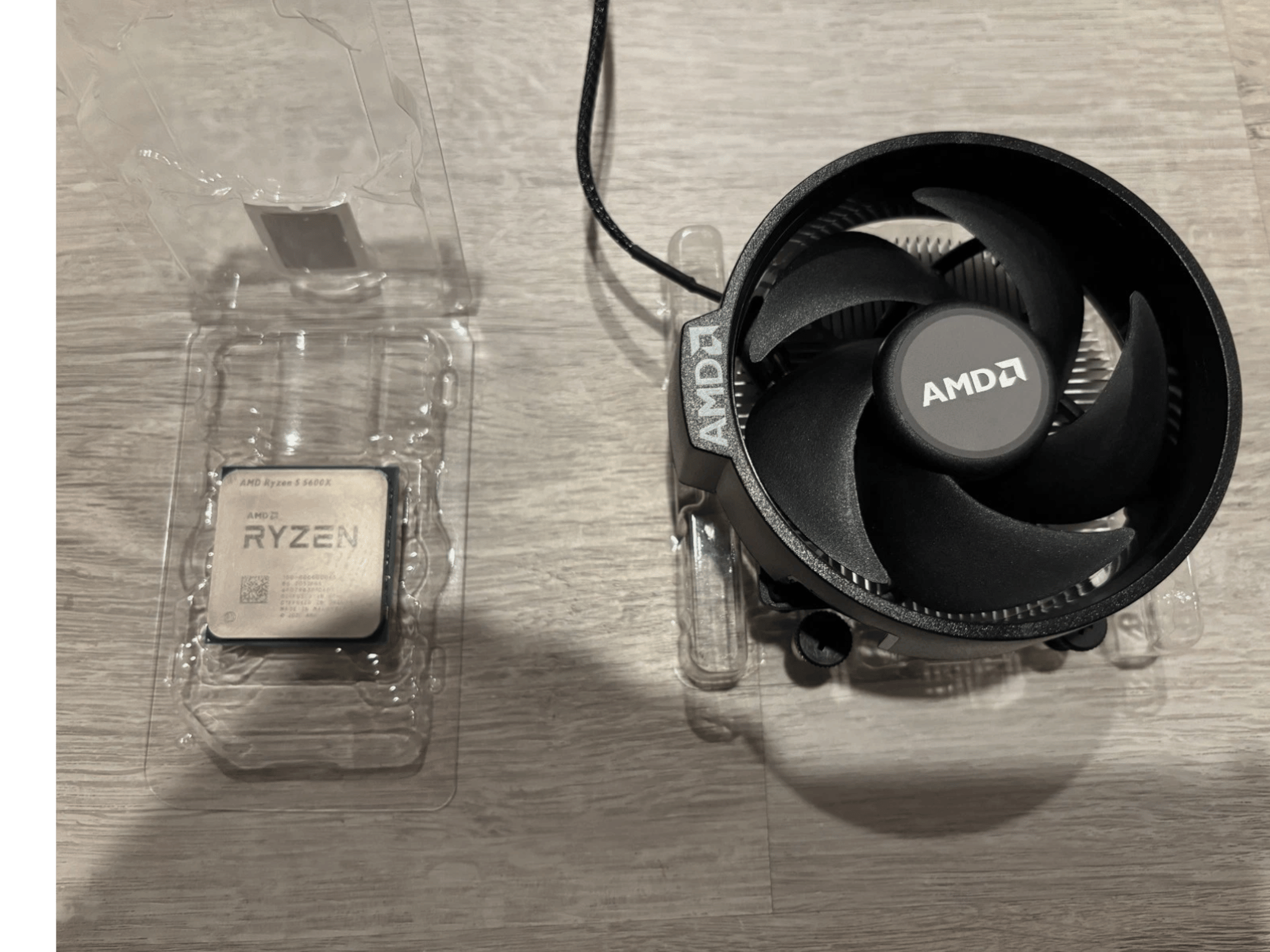 AMD Ryzen 5 5600X | Jawa