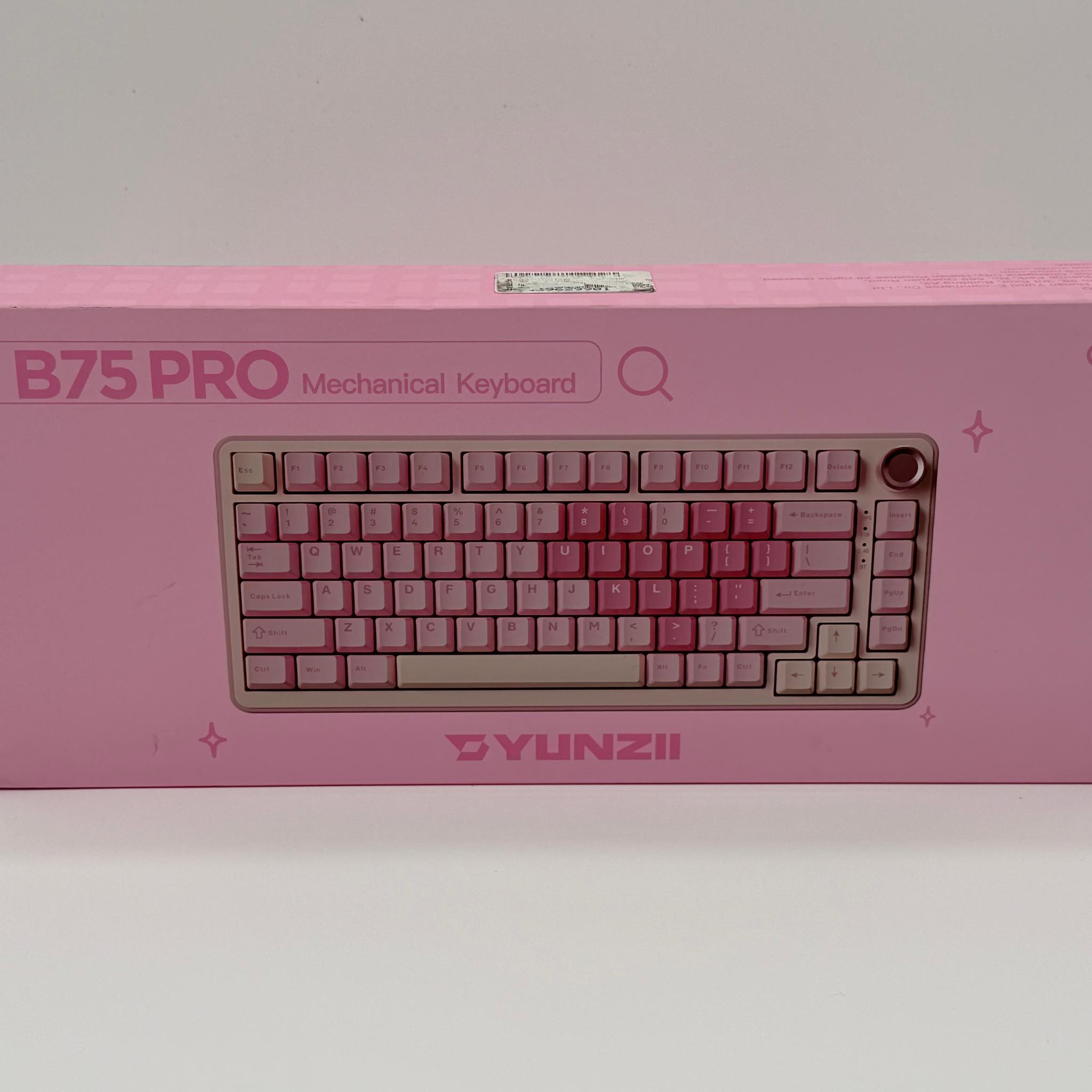 YUNZII B75 PRO Wireless Mechanical Keyboard,75% Layout with Knob,Hot Swap Gasket