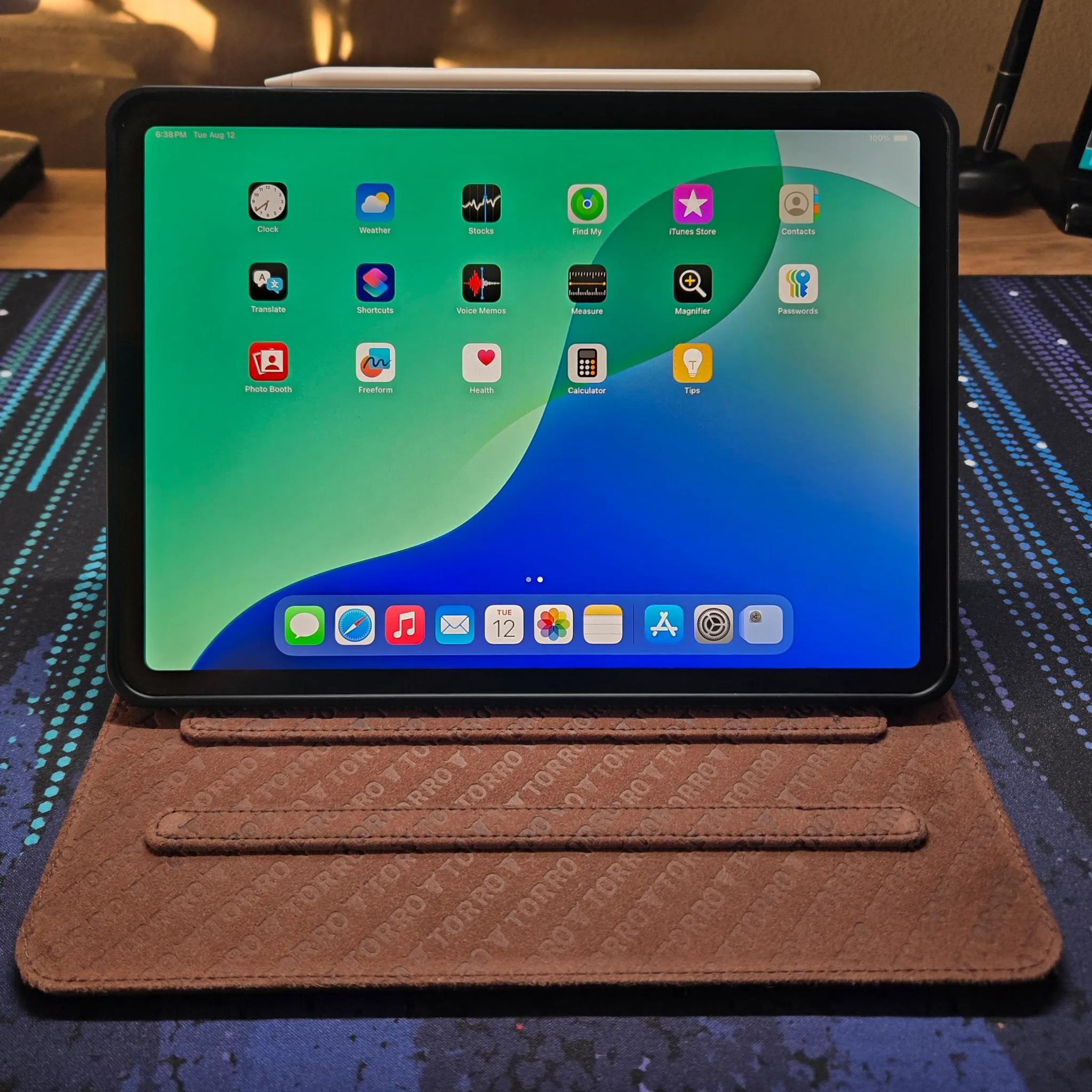 iPad Pro Gen 1 (11-inch) (+Accessories)