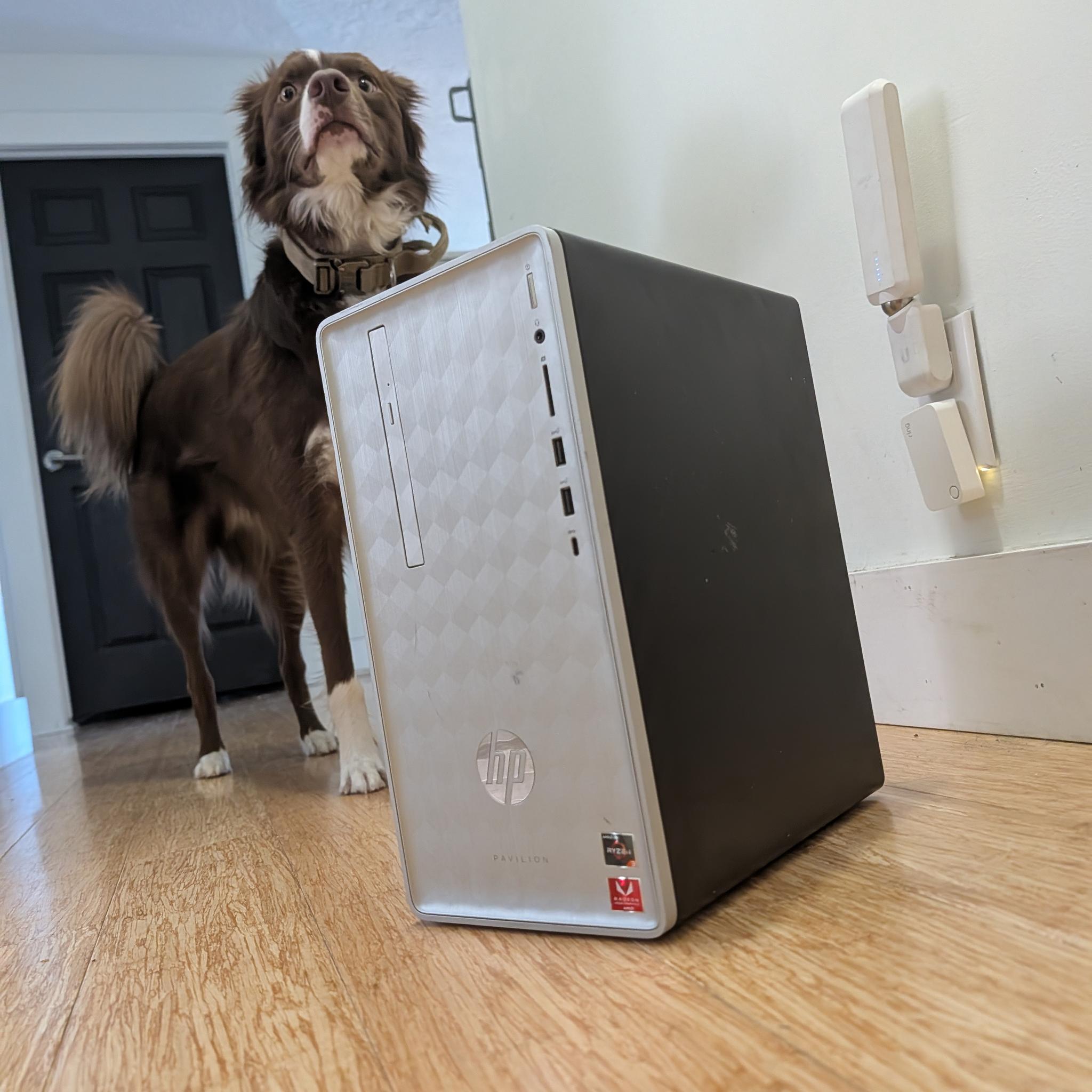 Budget Midrange Gaming PC | Ryzen 5 2400g | EVGA GTX 1050 3GB | 16GB DDR4 2666 | 512GB NVME