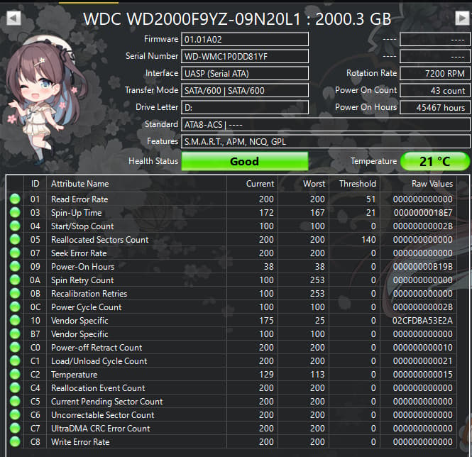 WD Se 2TB Enterprise HDD – 7200RPM 64MB Cache SATA – WD2000F9YZ – Good SMART