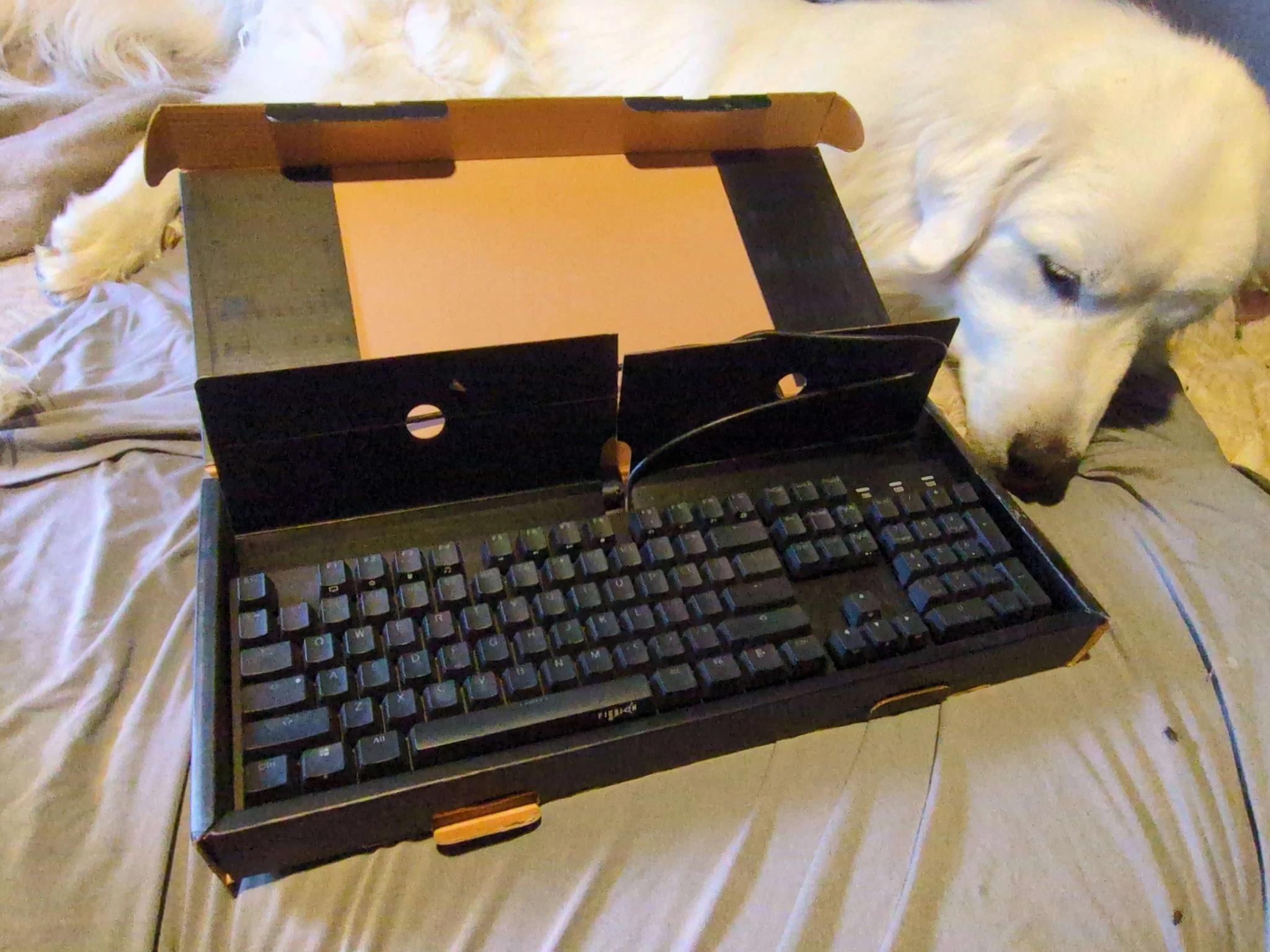 MK Fission RGB, MKFi0417