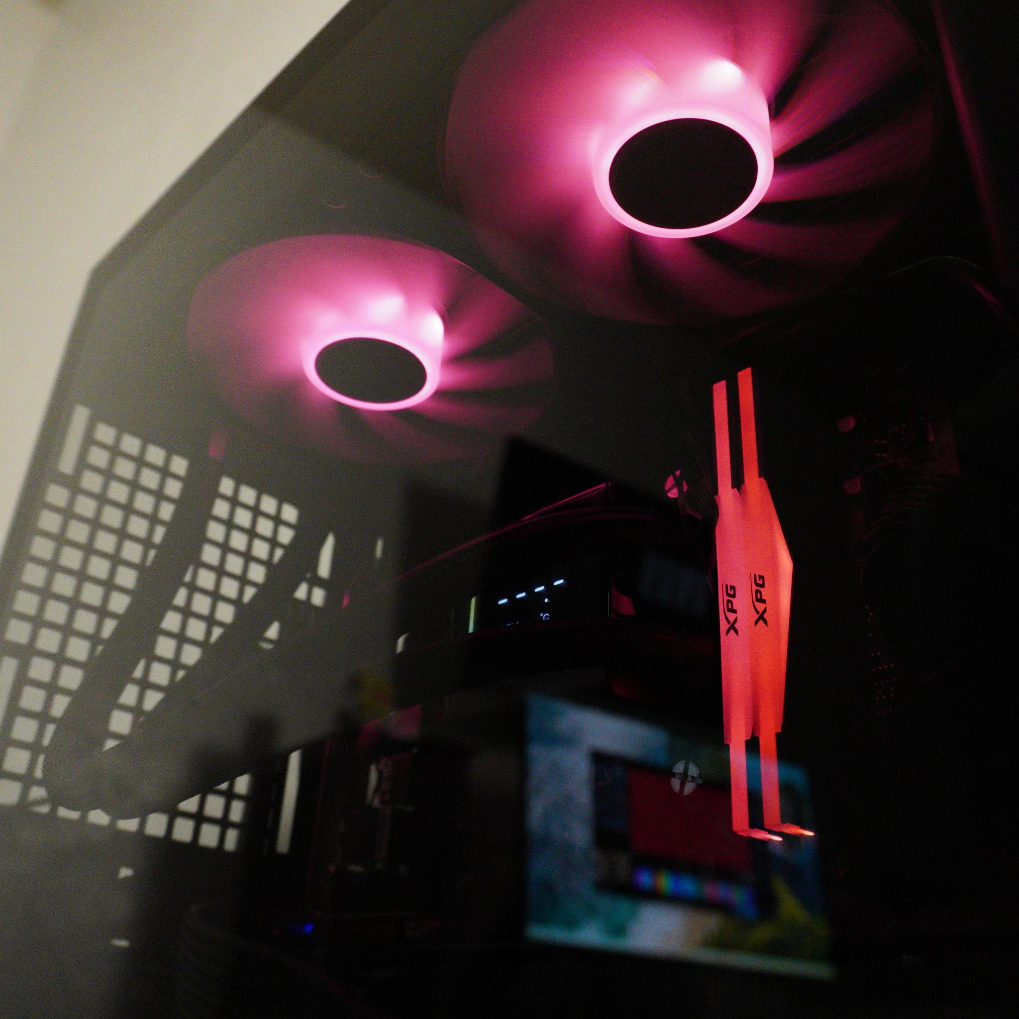 Squish Beast | RTX 5060 TI 8GB| RYZEN 5 7600X | 32GB DDR5 | 960GB 2.5 SSD | + Hotdog Sticker