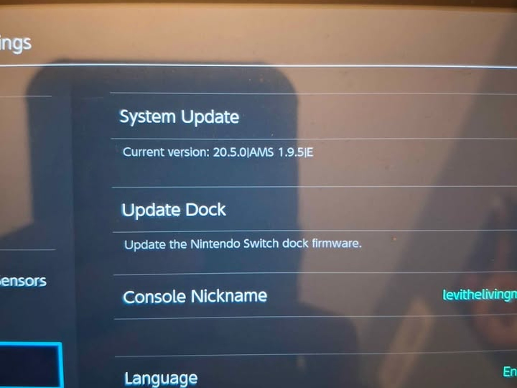 Nintendo Switch launch model with 512gb sd card, Ring fit adventure and other games installed