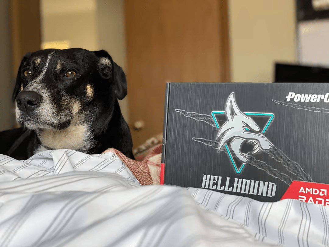 PowerColor Radeon RX 6600XT Hellhound