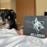 PowerColor Radeon RX 6600XT Hellhound