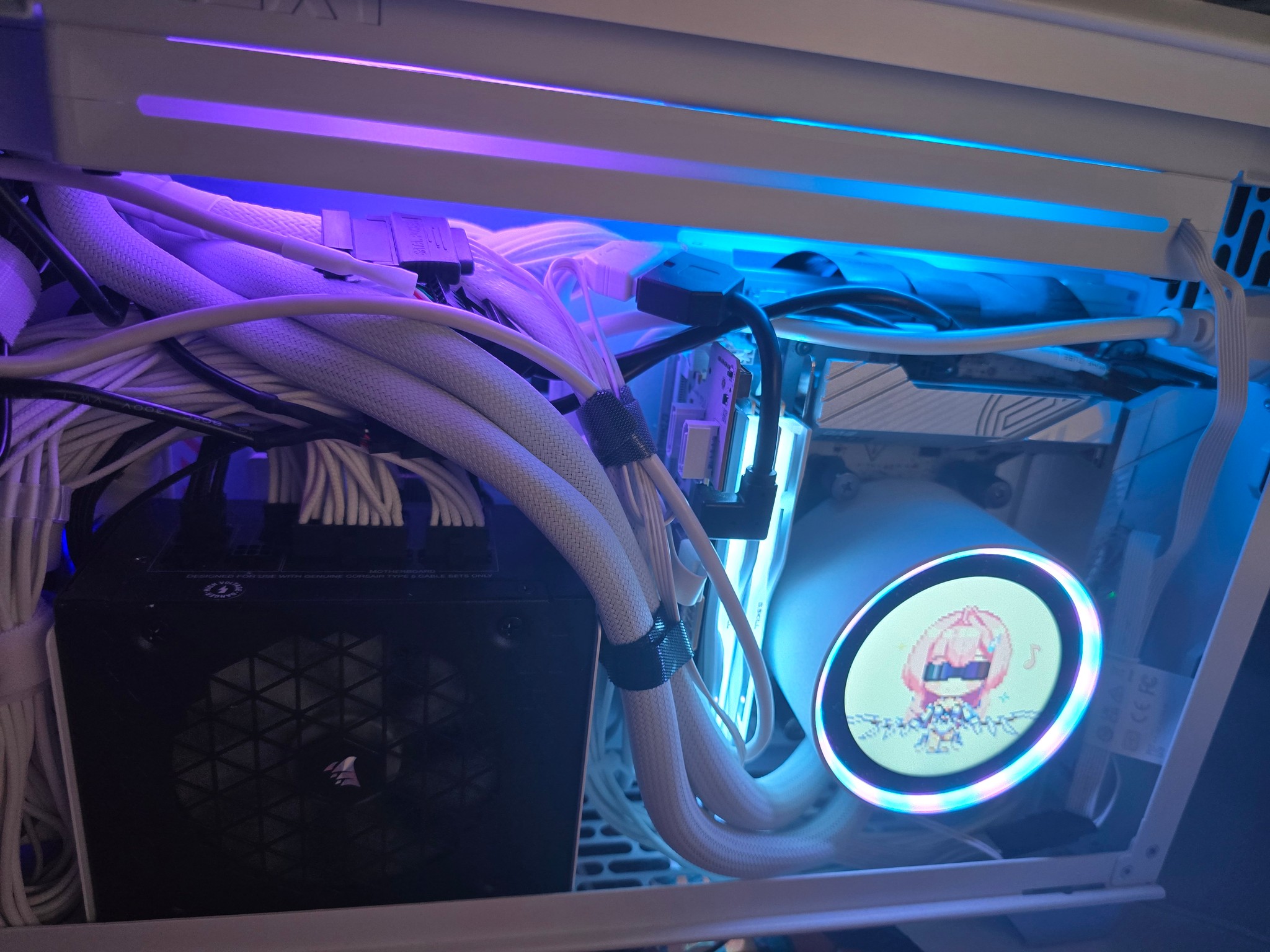 TR100 Hydrangea Blue PC
