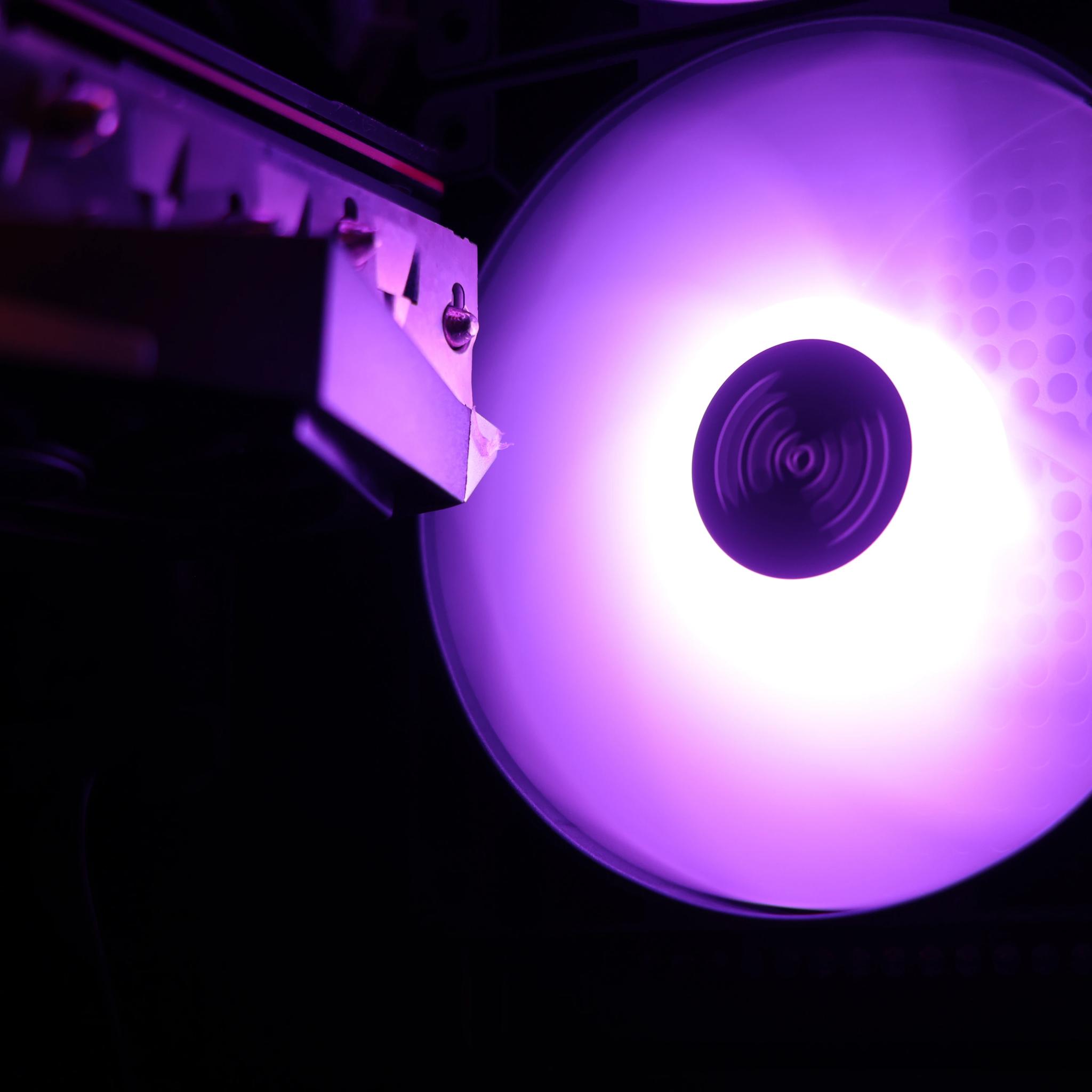 🦋 Nymph 🦋 AMD RX 6800 / AMD R5 7600X / 1TB NVME / 32GB DDR5 RAM / 360 AIO / Windows 11 Pro