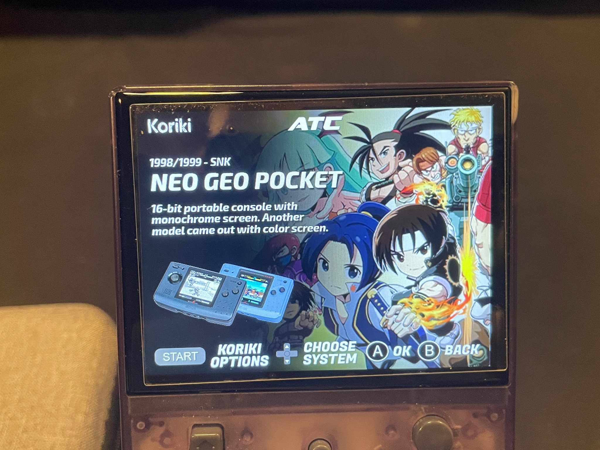 Ambernic Handheld Customized Koriki OS With Accessories