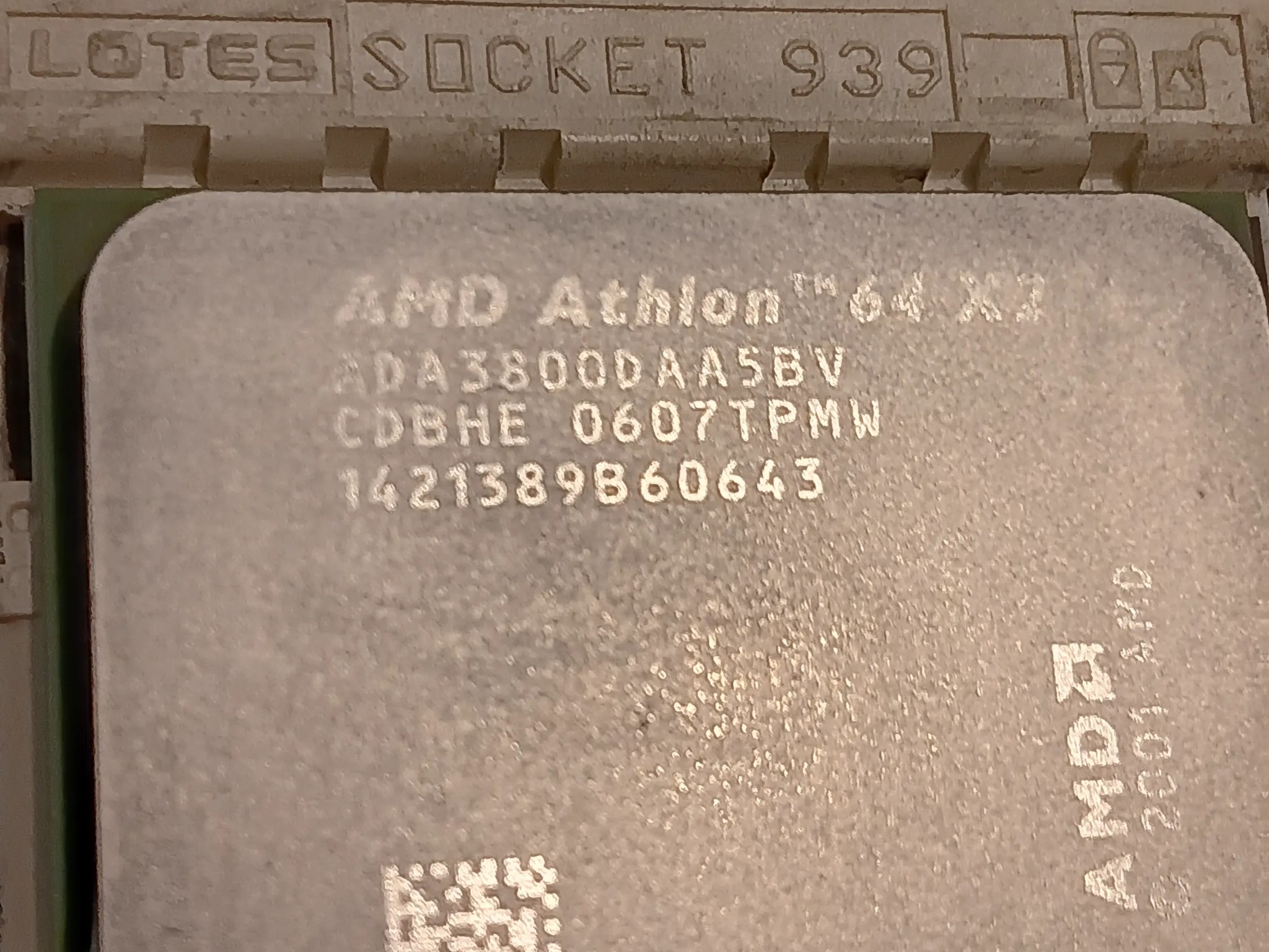 ASUS A8N-SLI Deluxe Athlon 64 X2 3800 Radeon X550 128MB 2GB RAM