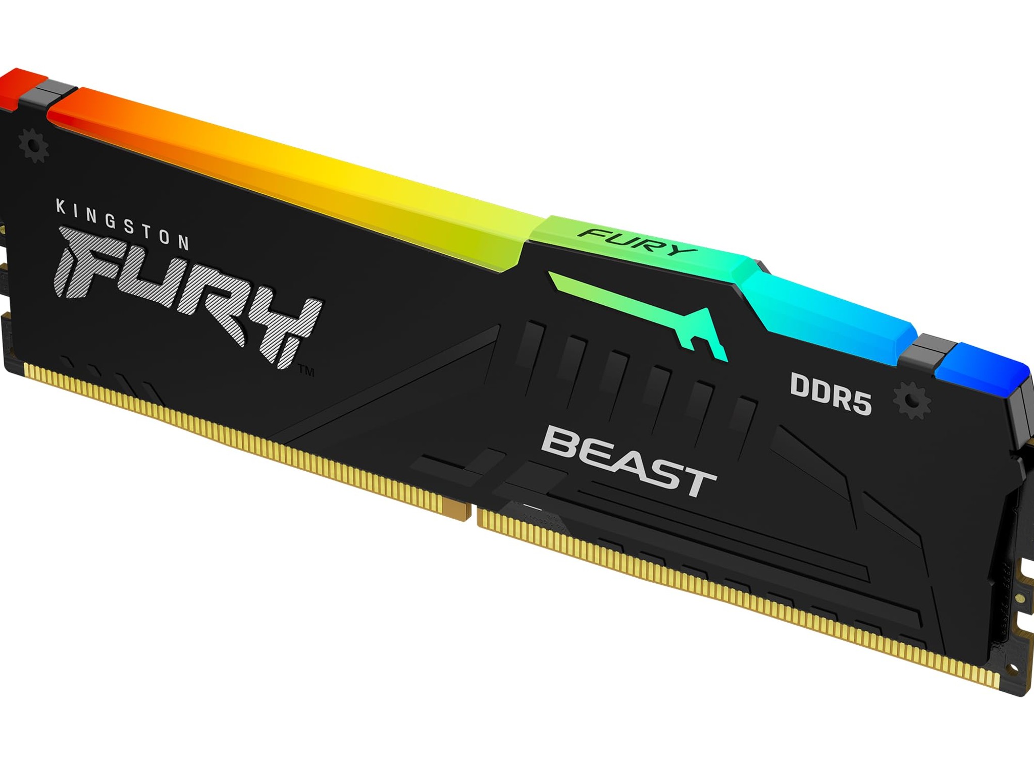 Kingston FURY Beast 16GB DDR5-6000 (1x16GB)