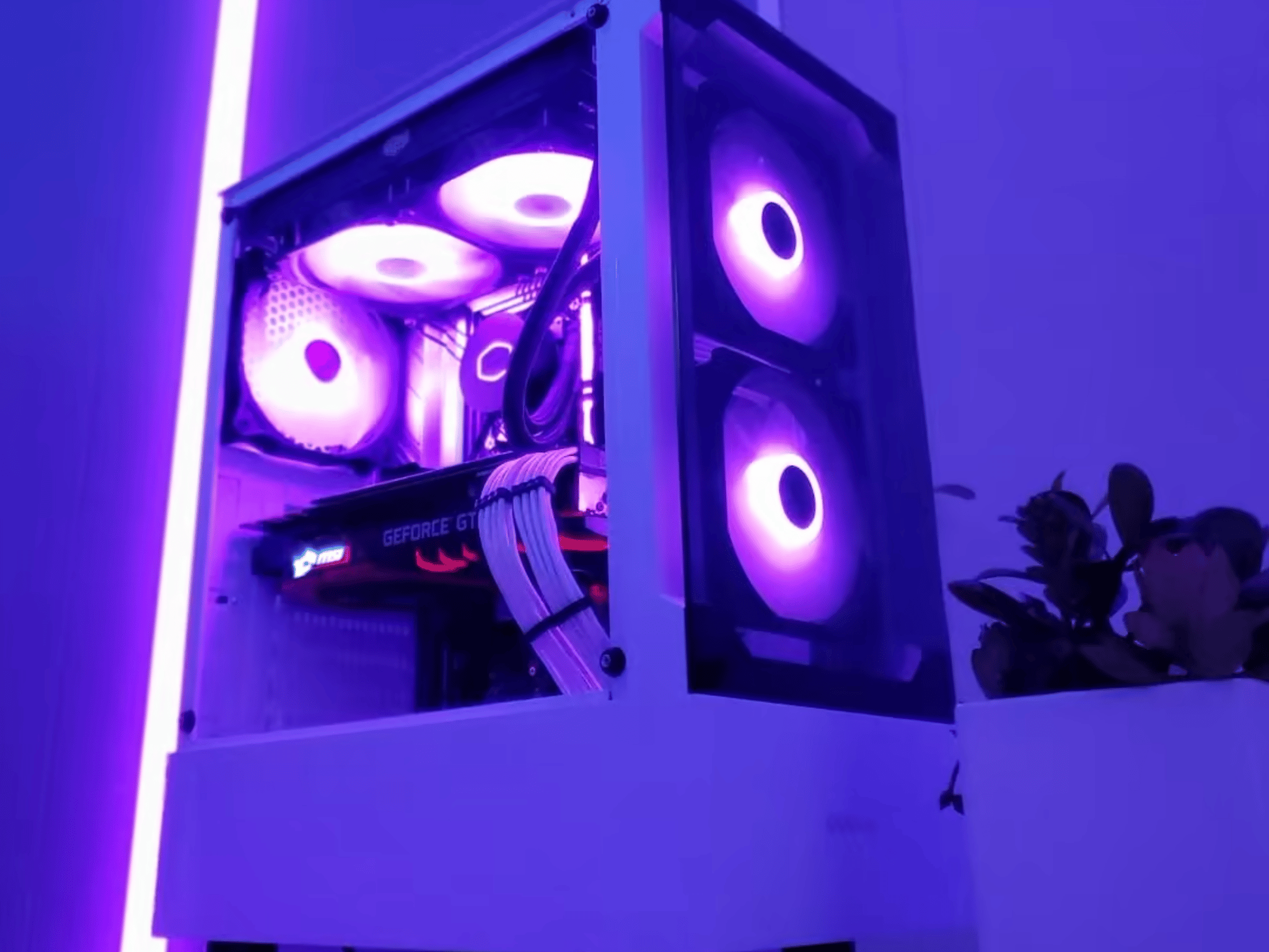 "Socotra" | i5 10400f - GTX 1080ti