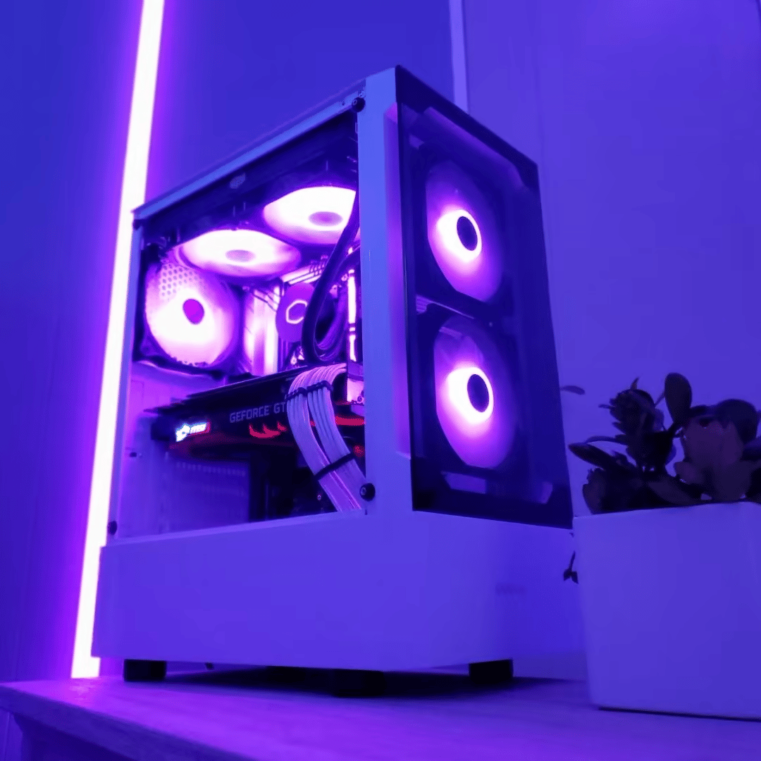 "Socotra" | i5 10400f - GTX 1080ti
