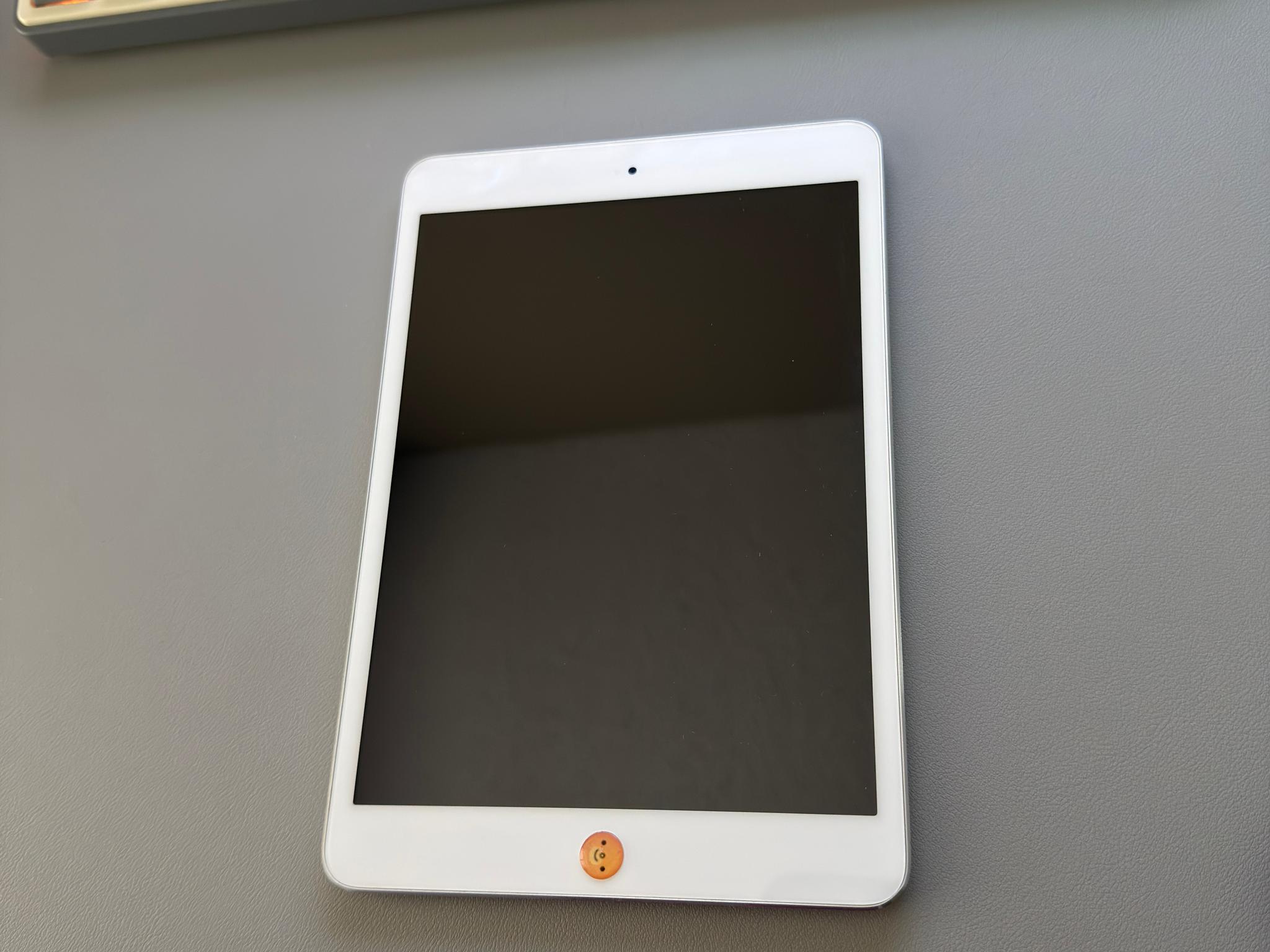iPad mini