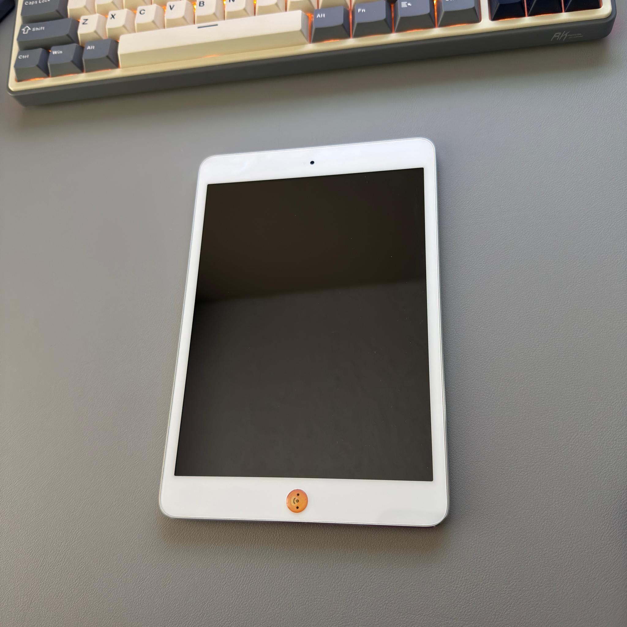 iPad mini