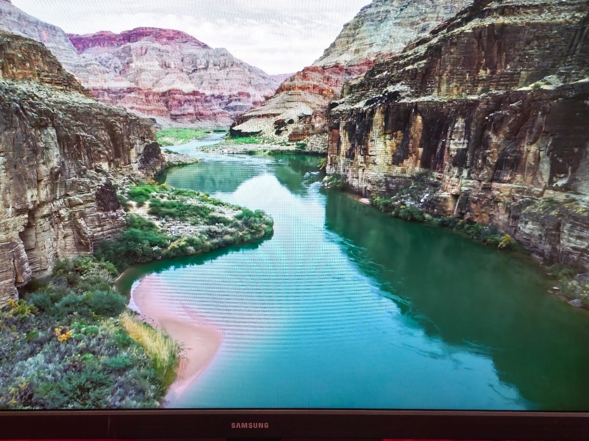 Samsung 24" Essential Monitor