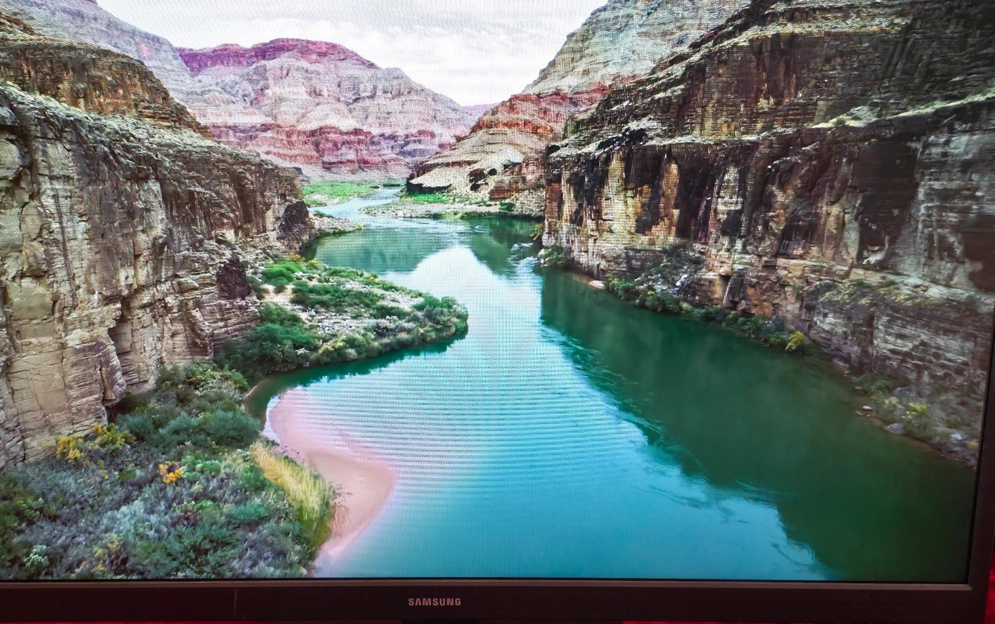 Samsung 24" Essential Monitor