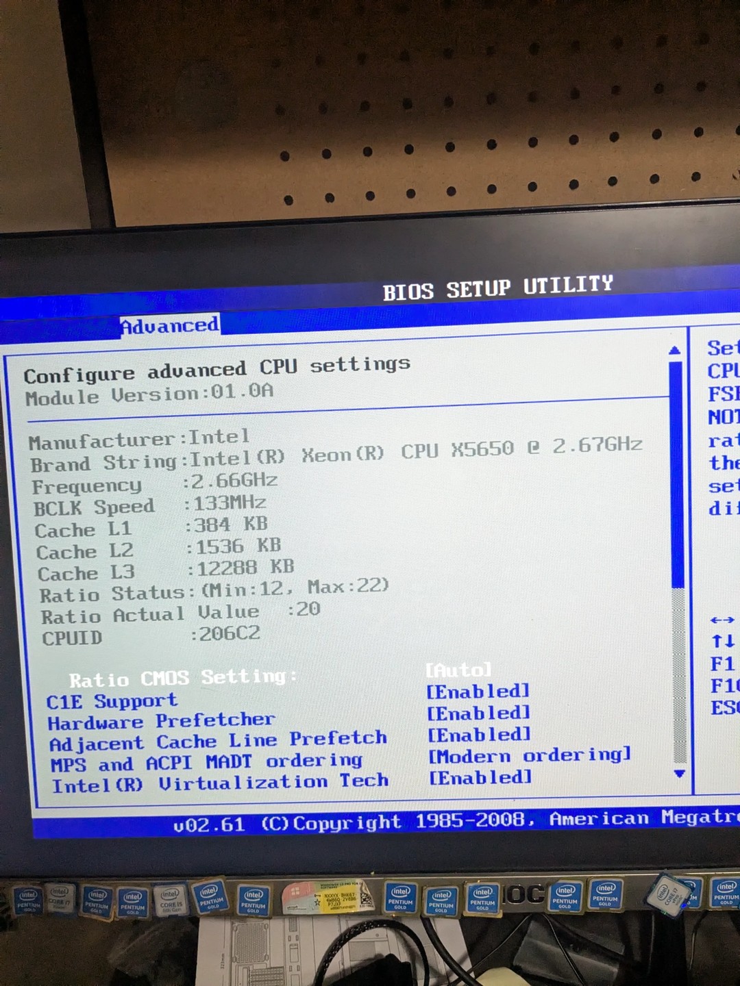 Dual CPU! 12 Cores, 24 Threads, Asus Z8NA-D6C server motherboard +