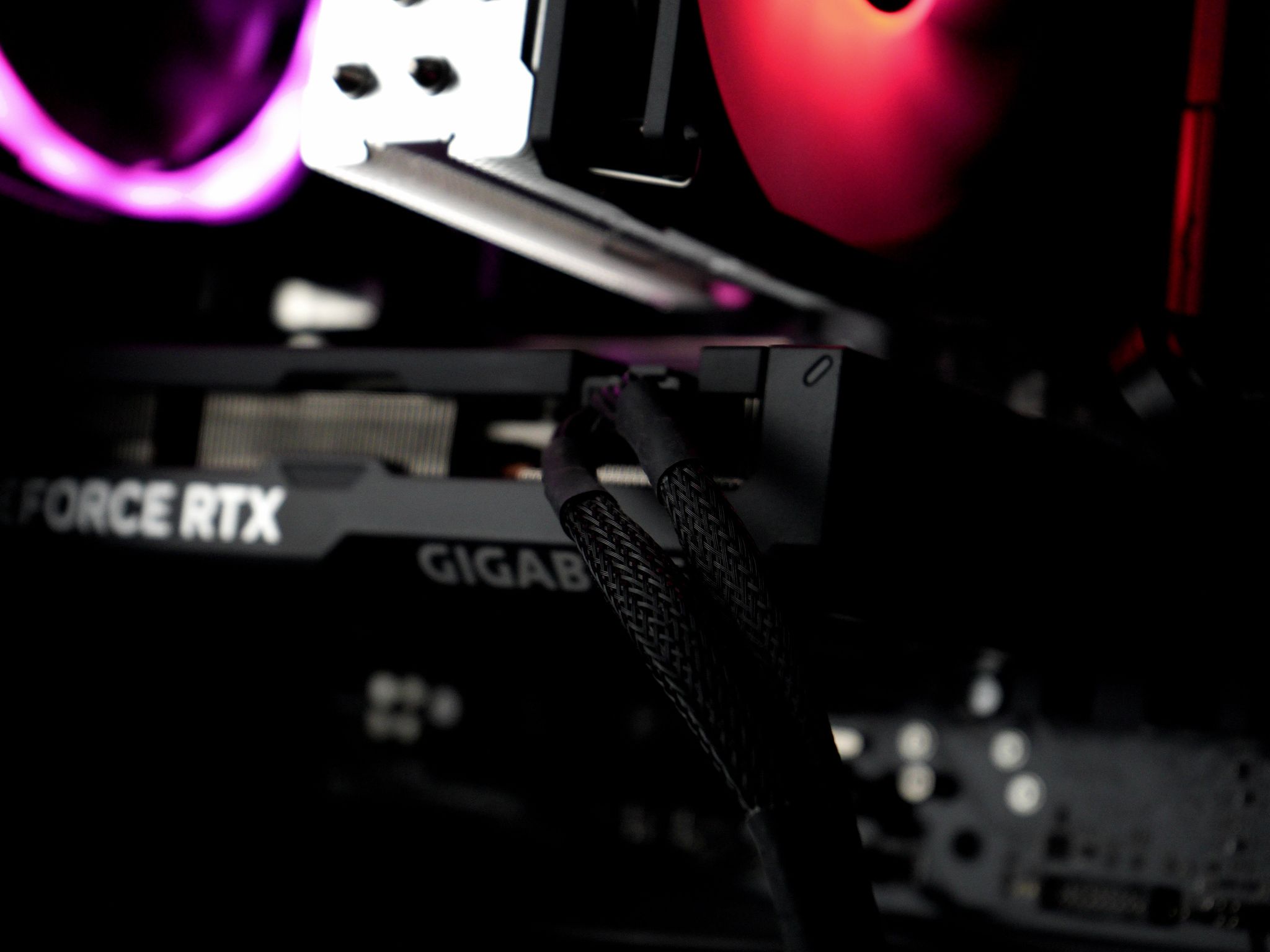 🐅🐯😼 COUGAR - RTX 4060 Ti | Ryzen 7 7700 | 16GB DDR5 | 2TB M.2 NVMe SSD 😼🐯🐅