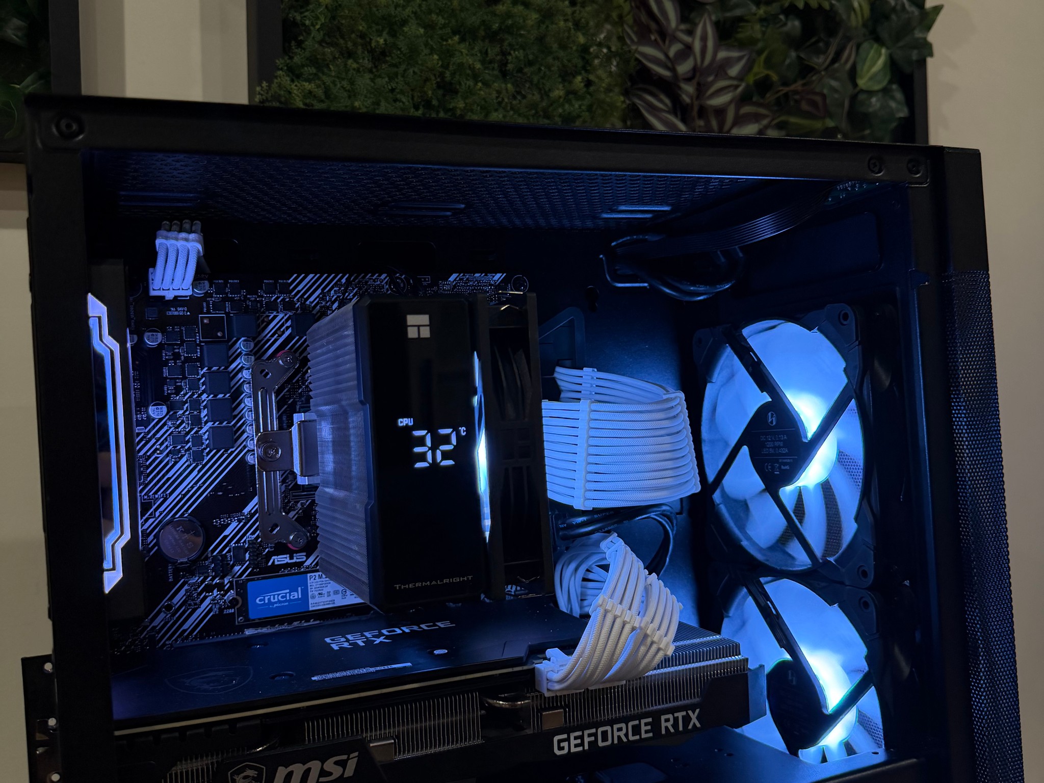 Amazing Price to Performance