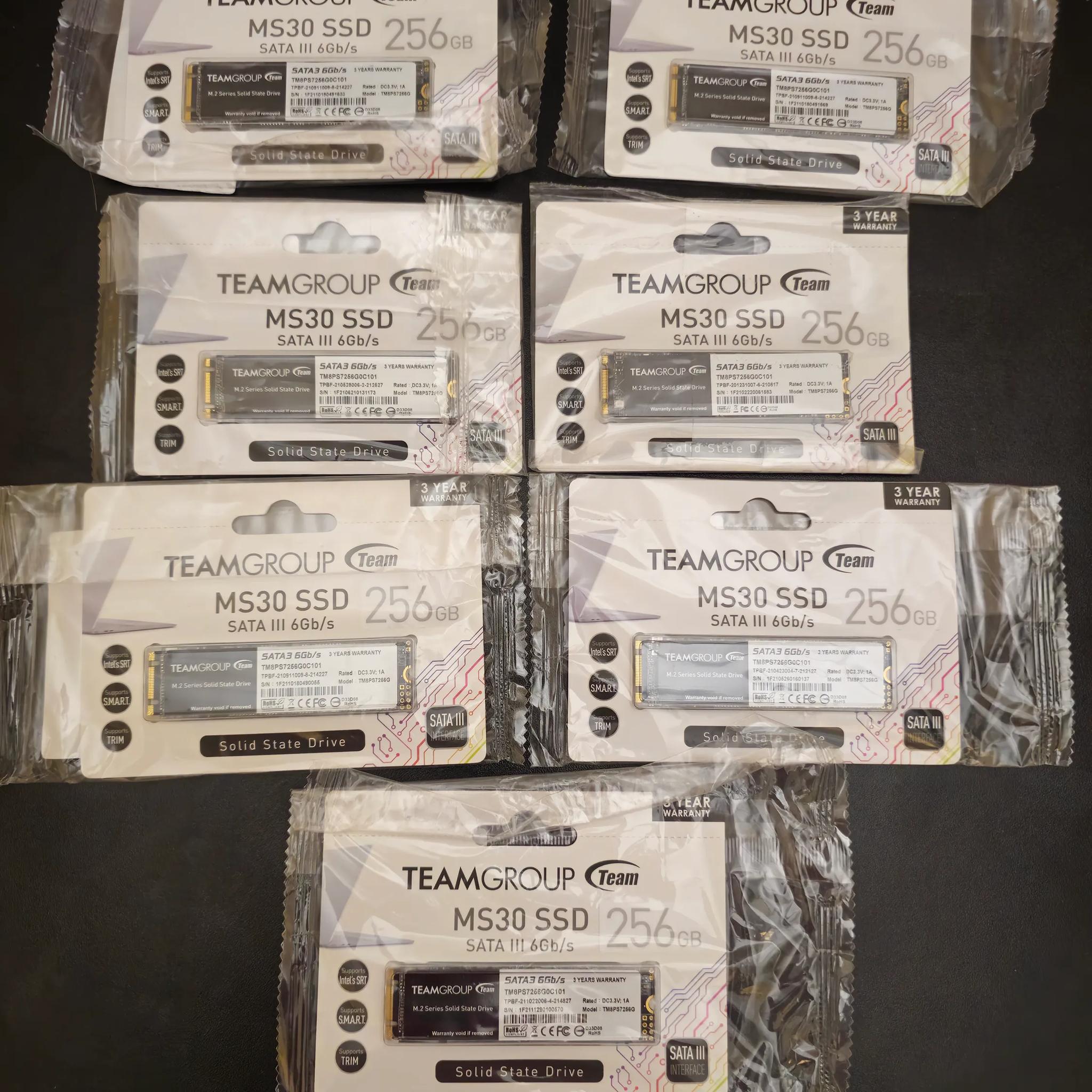 7x Teamgroup MS30 256GB M.2 SATA SSDs (NEW!)