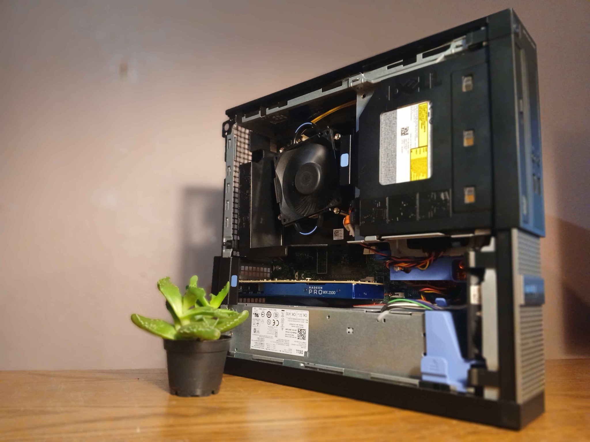 Simple sff Optiplex | Radeon PRO WX 2100 | Xeon e3 1240v3 | 16gb ram | light gaming/workstation pc