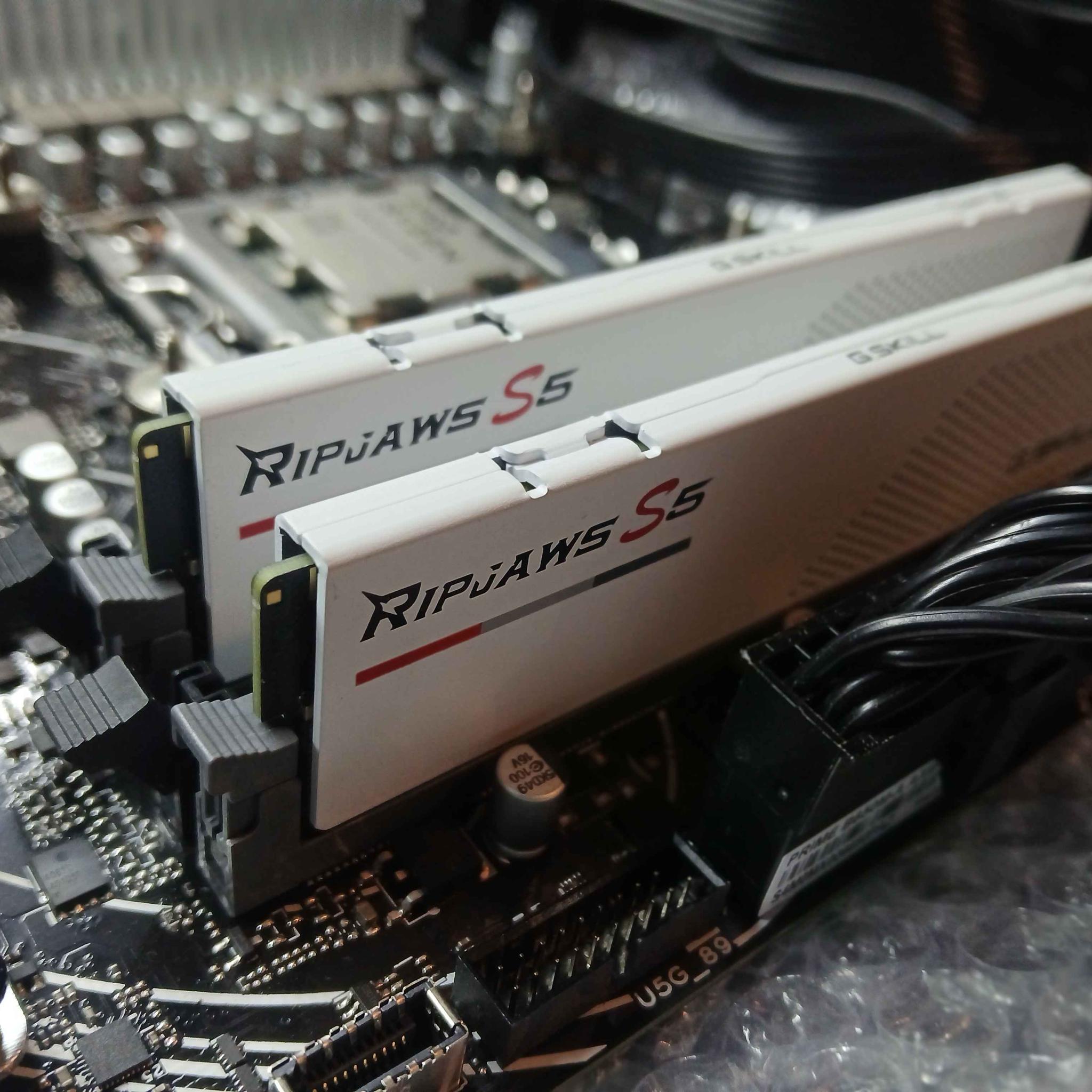 64GB CL32 (2x32gb) DDR5-6000 White G-Skill Ripjaws S5 DDR5 RAM