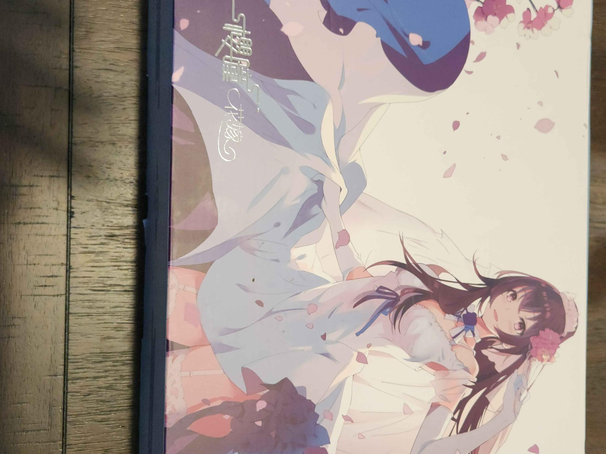 Yeston Sakura AMD 7800XT GPU